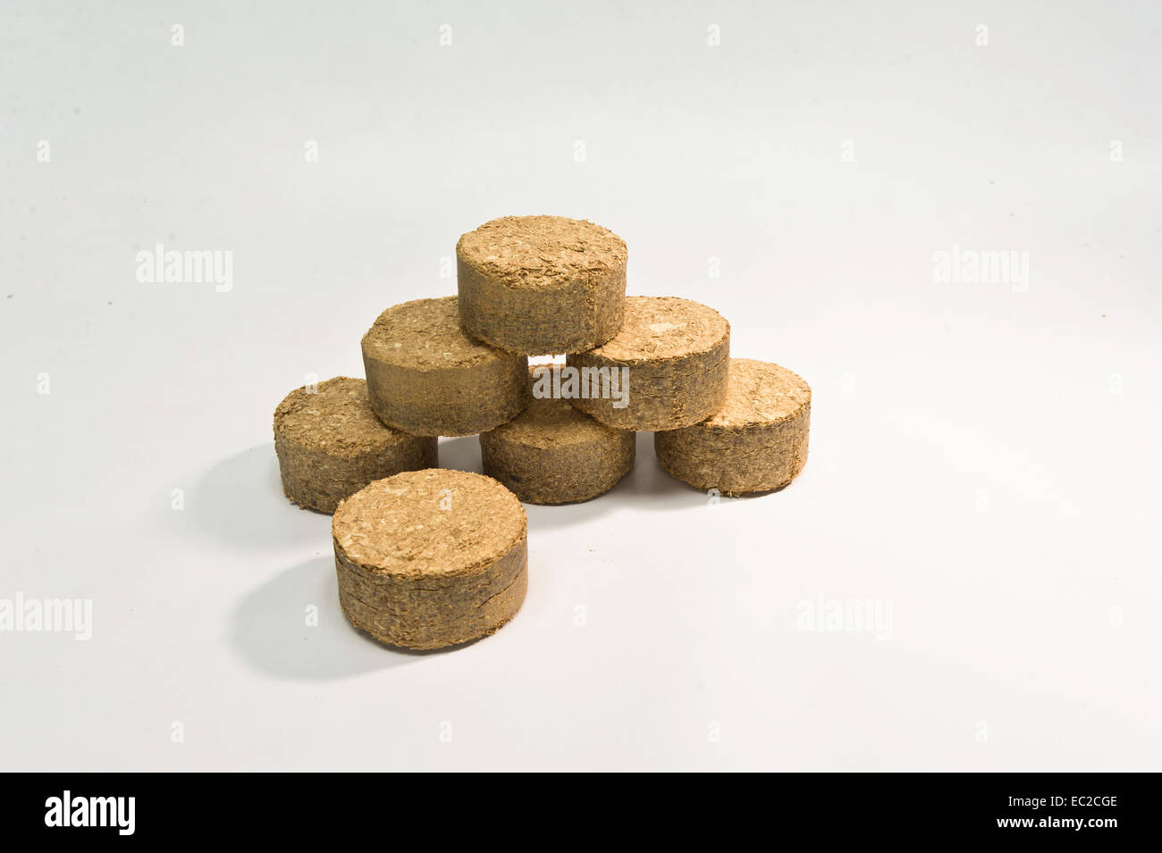 Öko-Briketts Holz Stockfoto