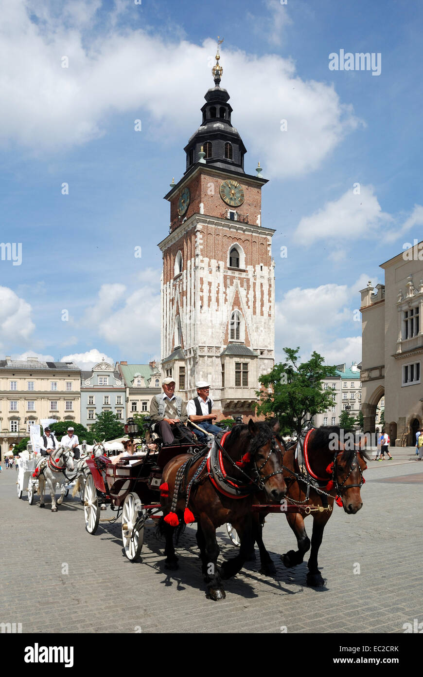 Pferdekutsche auf dem Hauptmarkt der Stadt Krakau in Polen. Stockfoto