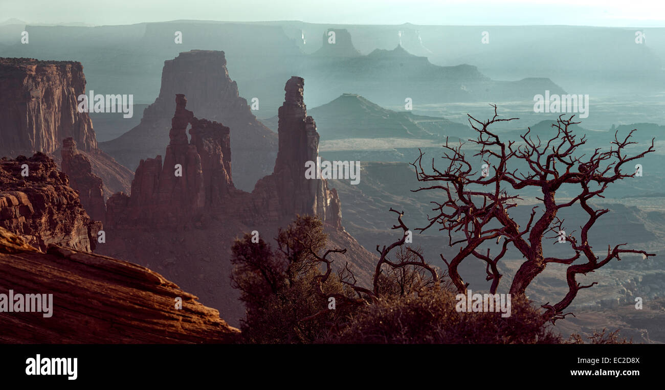 Canyonlands Nationalpark Stockfoto