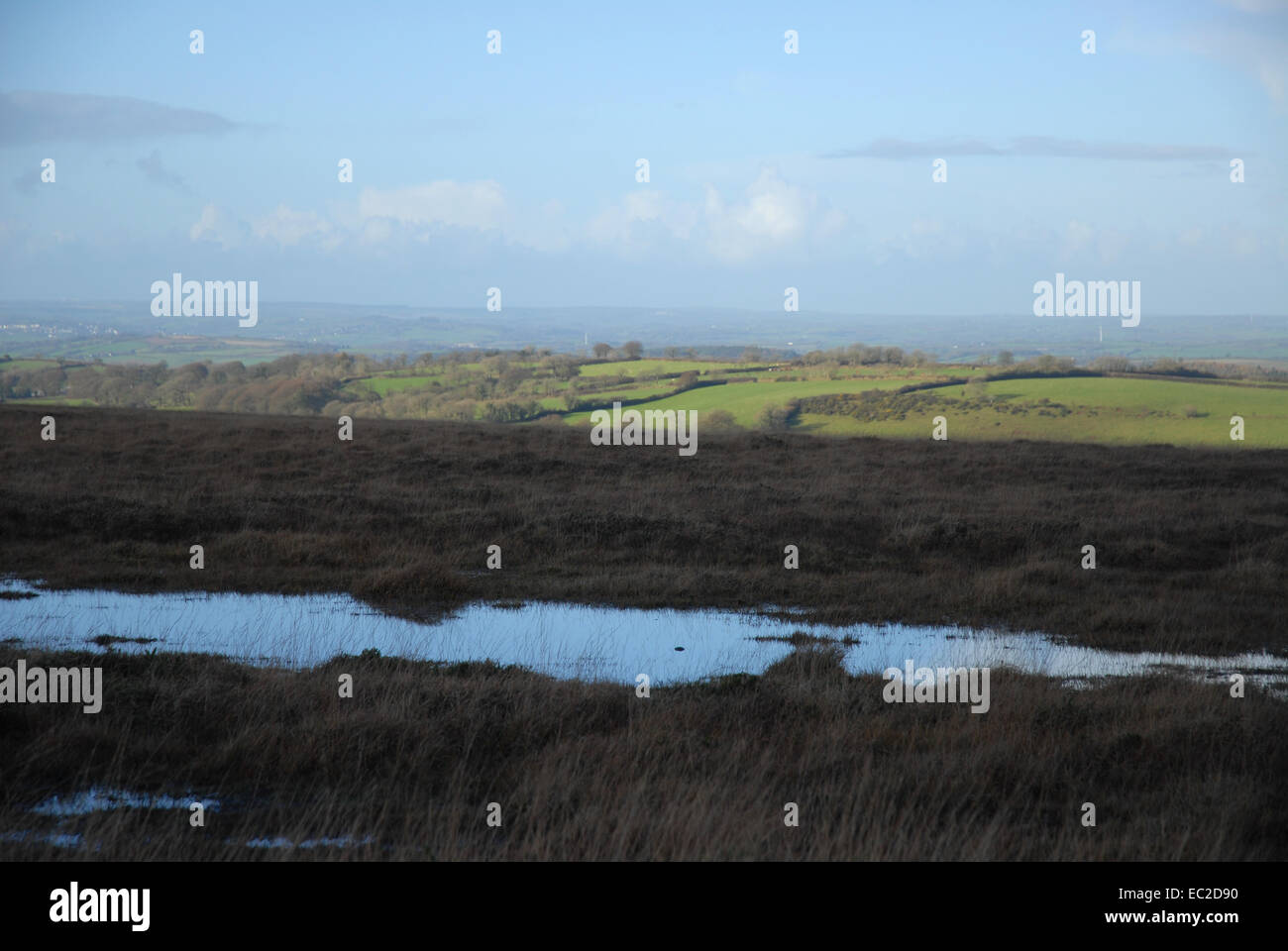 Decke Moor auf Dartmoor National Park, mit Blick auf grünen Hügeln und fernen Horizont, Devon, England Stockfoto