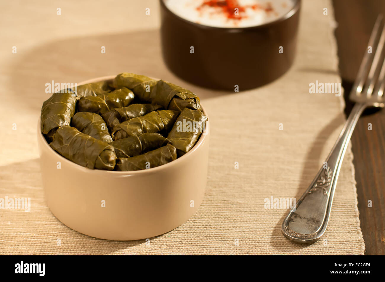 Gefüllte Weinblätter mit Groundmeat türkische Küche etli¬ Yaprak sarma Stockfoto