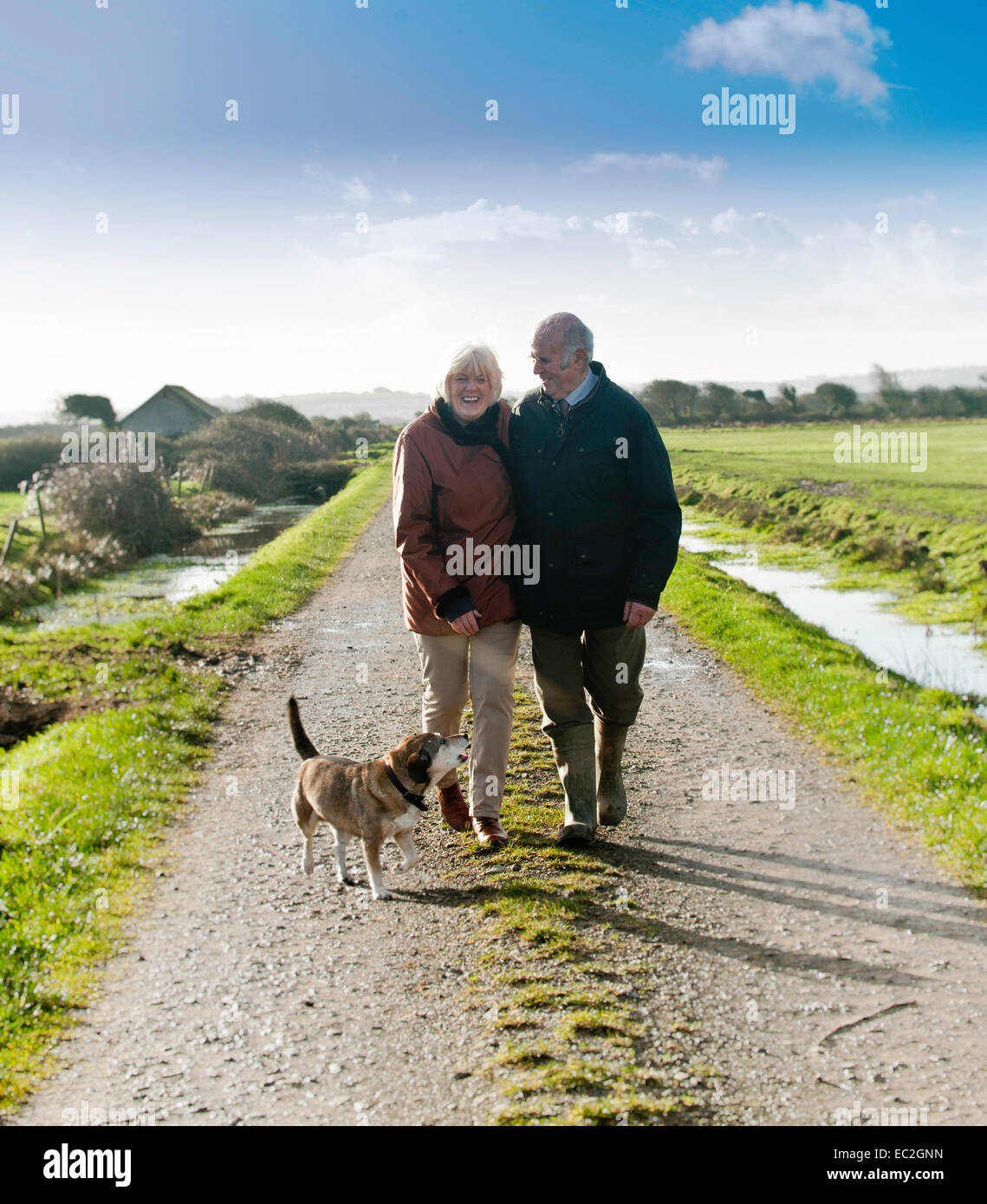 Ein älteres Ehepaar, die ihren Hund spazieren gehen, auf dem Land Stockfoto