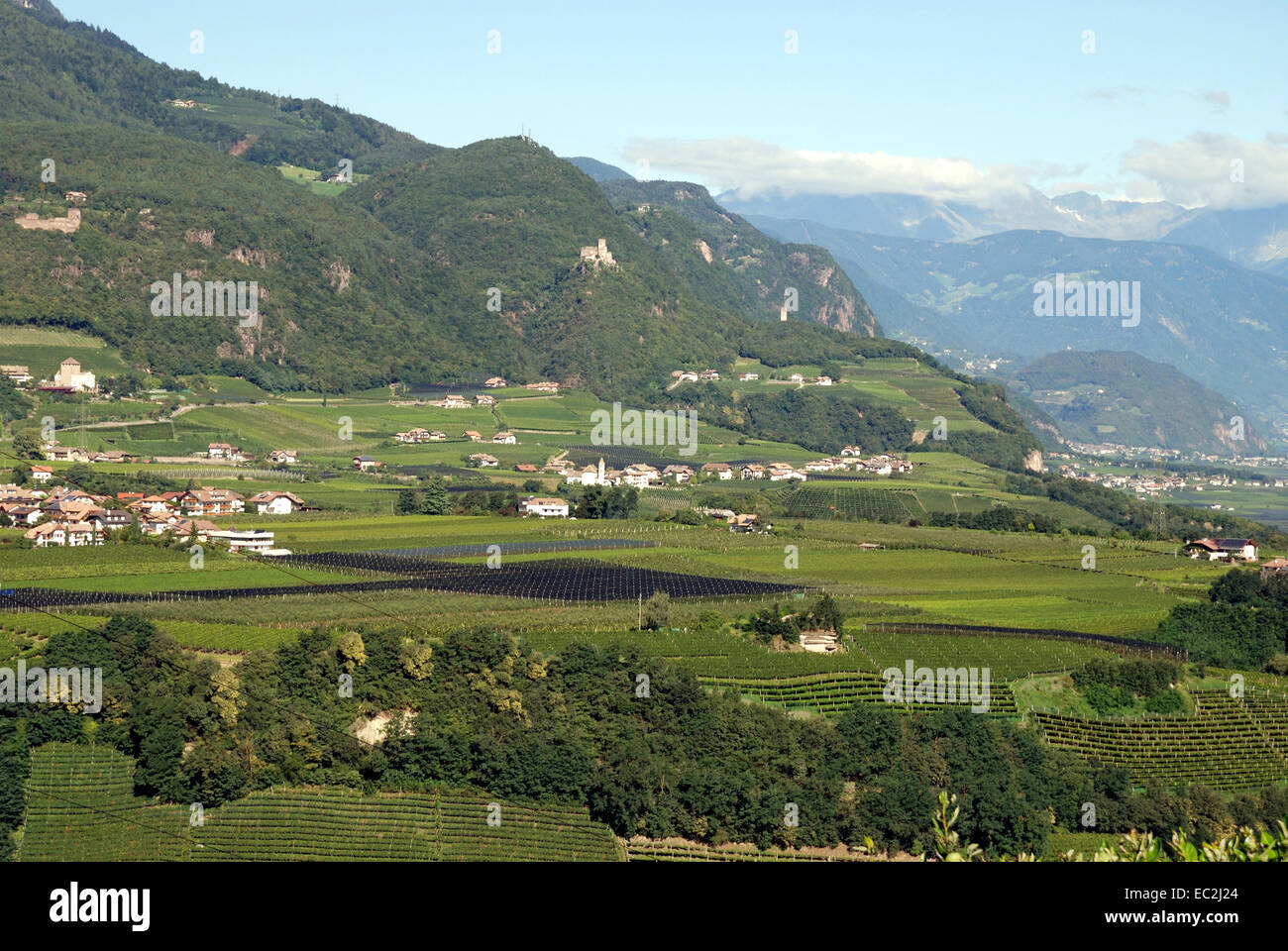 Blick von Girlan an der Südtiroler Wein Straße in das Etschtal bei Bozen. Stockfoto