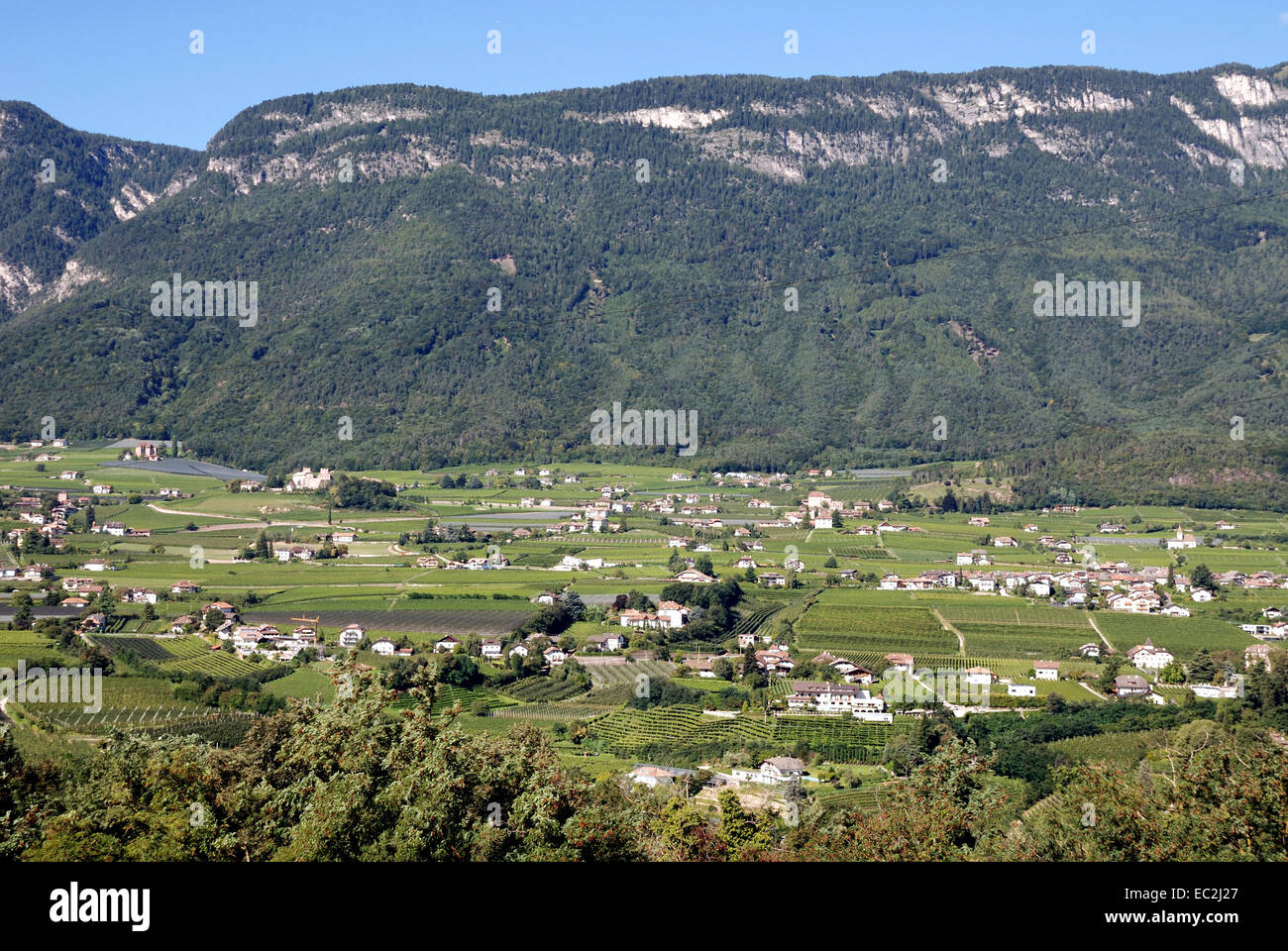 Blick von Girlan an der Südtiroler Wein Straße in das Etschtal bei Bozen. Stockfoto
