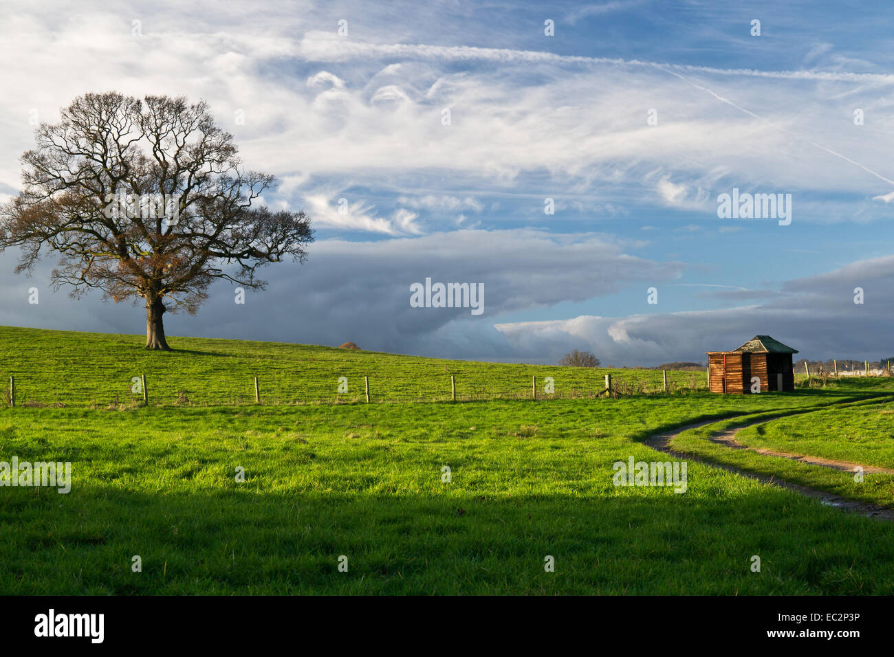 Der Weg um Blithfield Reservoir in Äbte Bromley, Staffordshire, in Winter Sonnenlicht getaucht Stockfoto