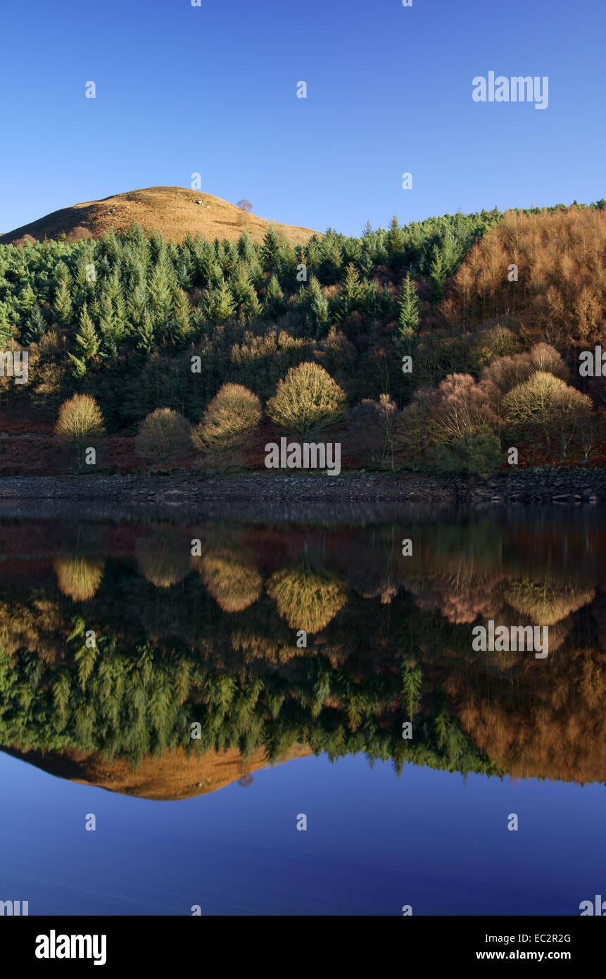 Großbritannien, Derbyshire, Peak District, Ladybower Reservoir und Whinstone Lee Tor Reflections. Stockfoto