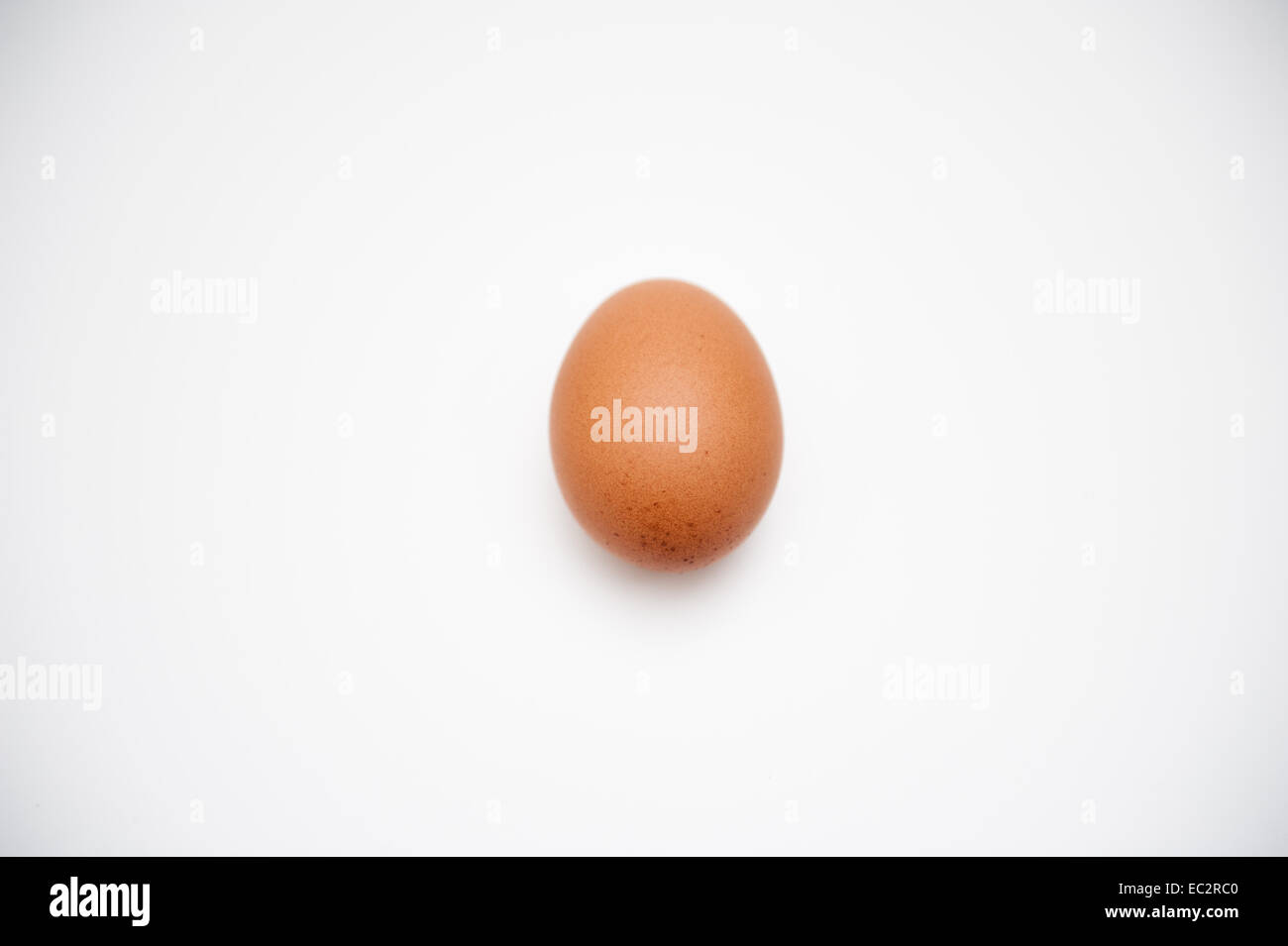 Ein Ei in der natürlichen Farbe auf weißem Hintergrund mit glatten Rand Stockfoto