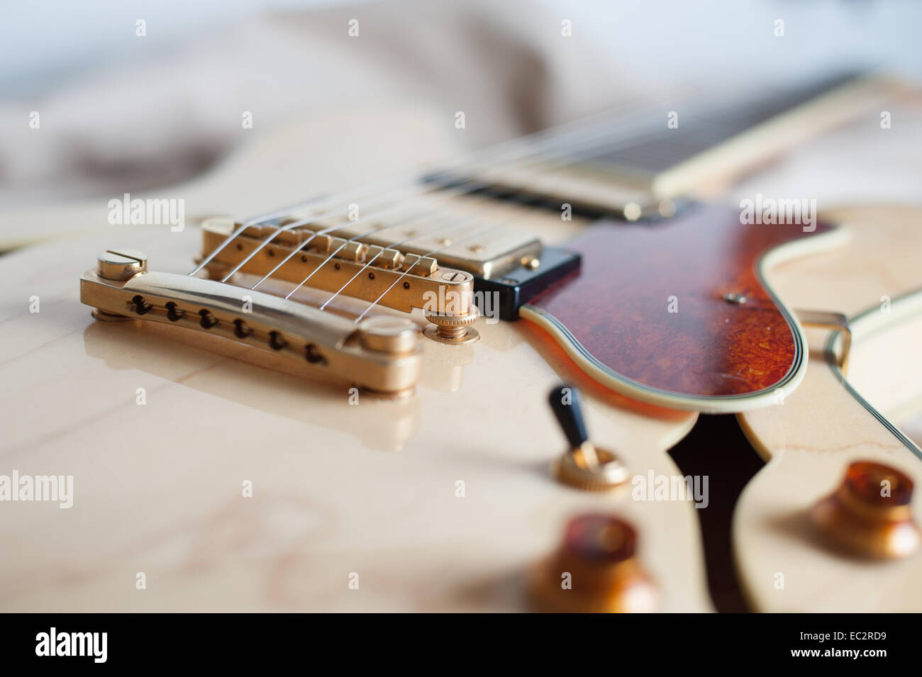 12-saitige E-Gitarren Brücke - Professioneller Gitarrensteg Ersatz