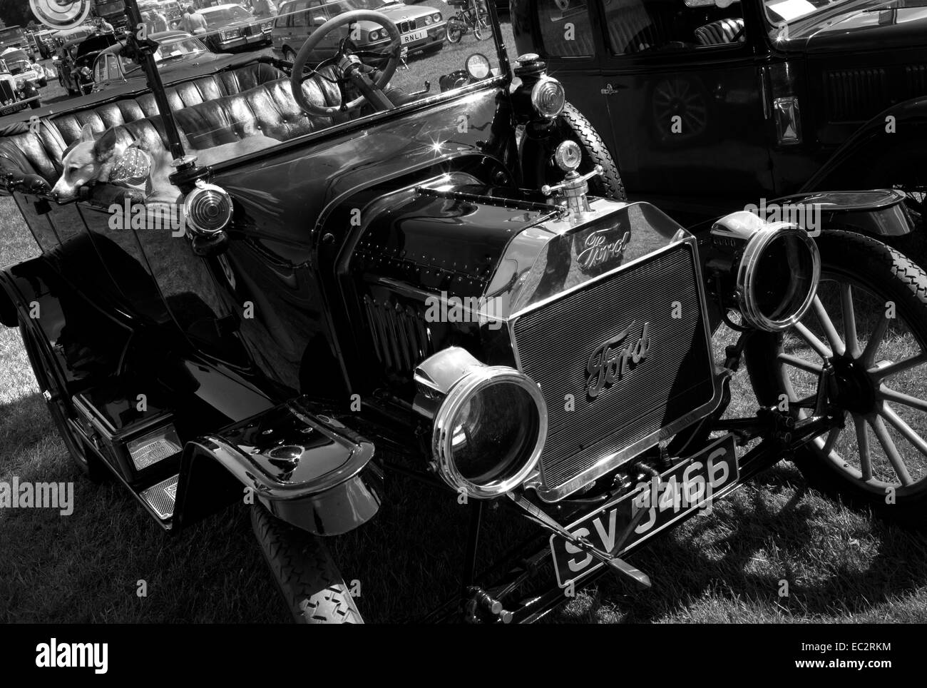 Hund schläft im Modell T von Ford - Corbridge Dampf & Oldtimer Rallye Stockfoto