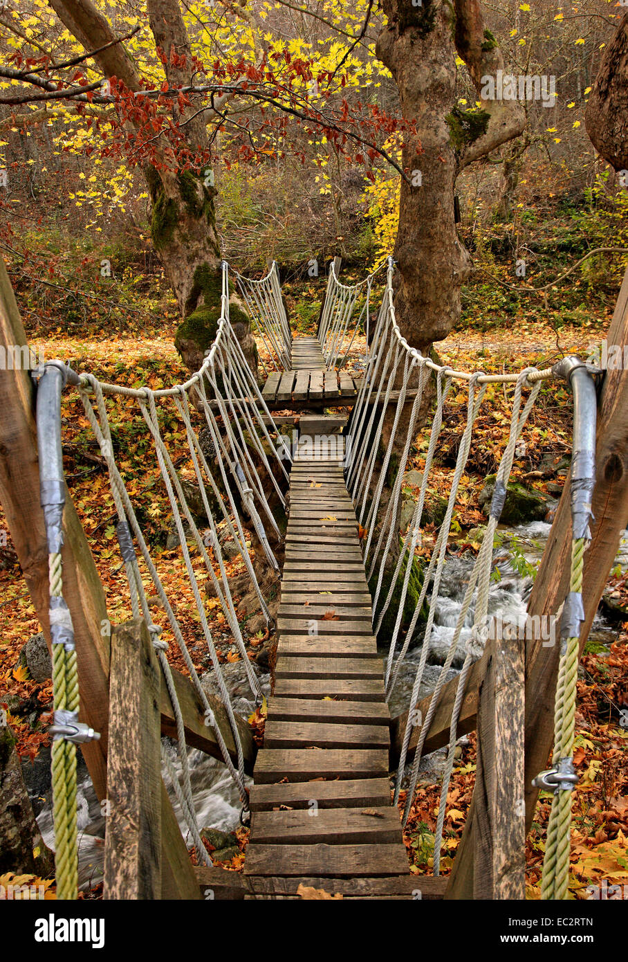 Schöne kleine Brücke auf die "Path of Love", in der Nähe von Elatochori Dorf, Pieria-Berge, Pieria, Mazedonien, Griechenland. Stockfoto