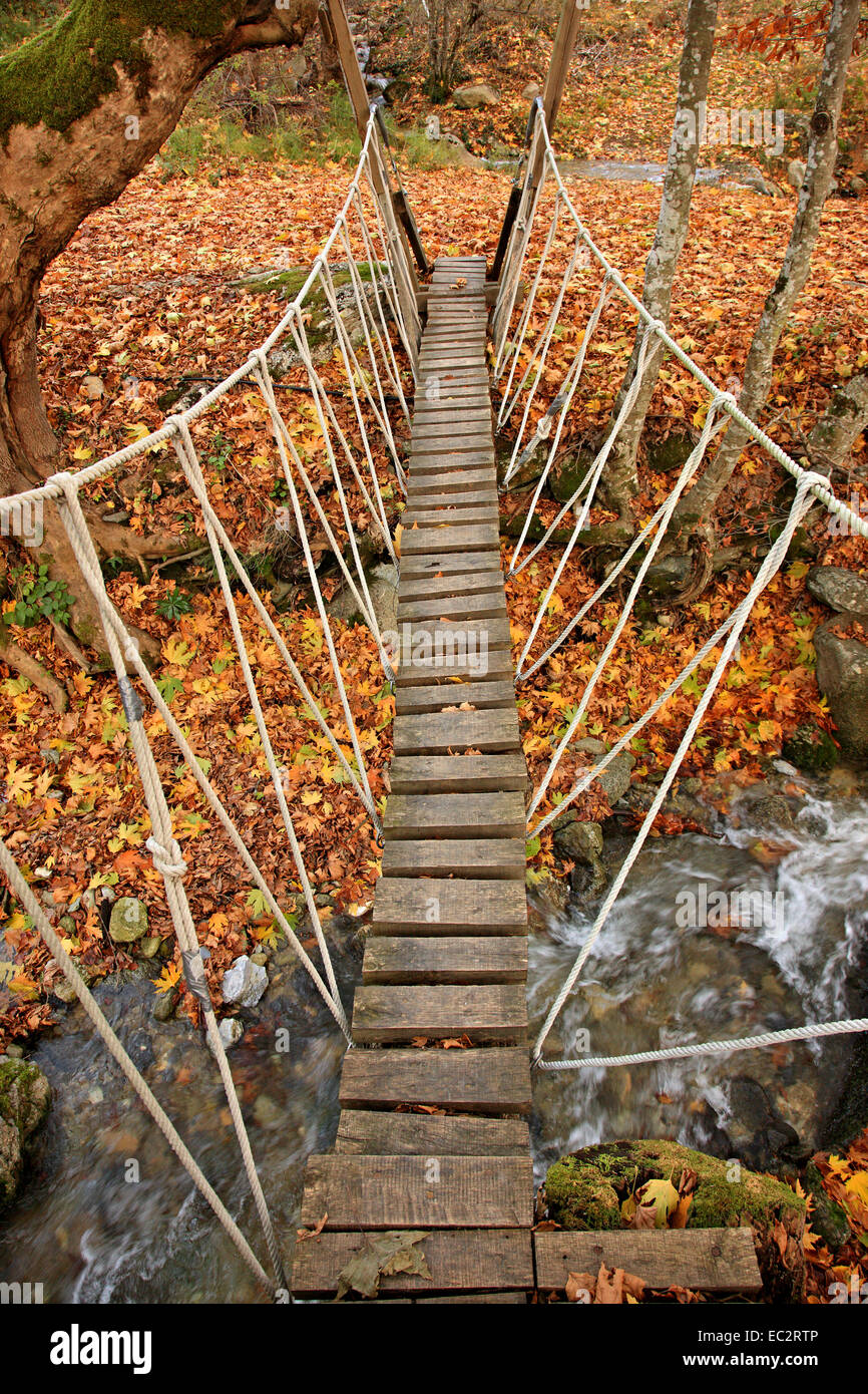 Schöne kleine Brücke auf die "Path of Love", in der Nähe von Elatochori Dorf, Pieria-Berge, Pieria, Mazedonien, Griechenland. Stockfoto