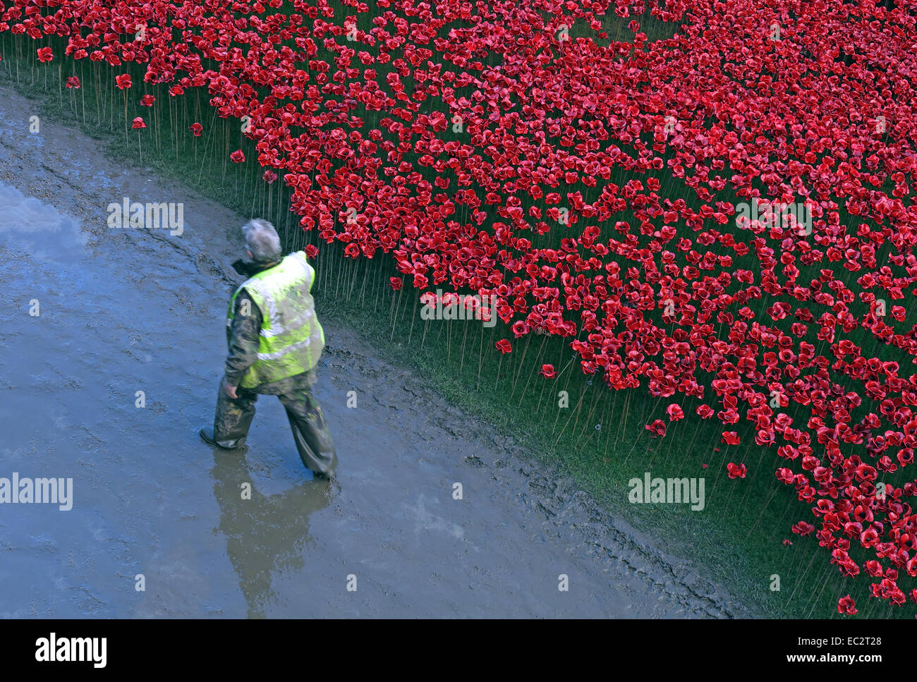 Ehrenamtlich neben Blut Mehrfrequenzdarstellung Länder und Meere der roten Mohnblumen, bei The Tower of London, England UK Stockfoto