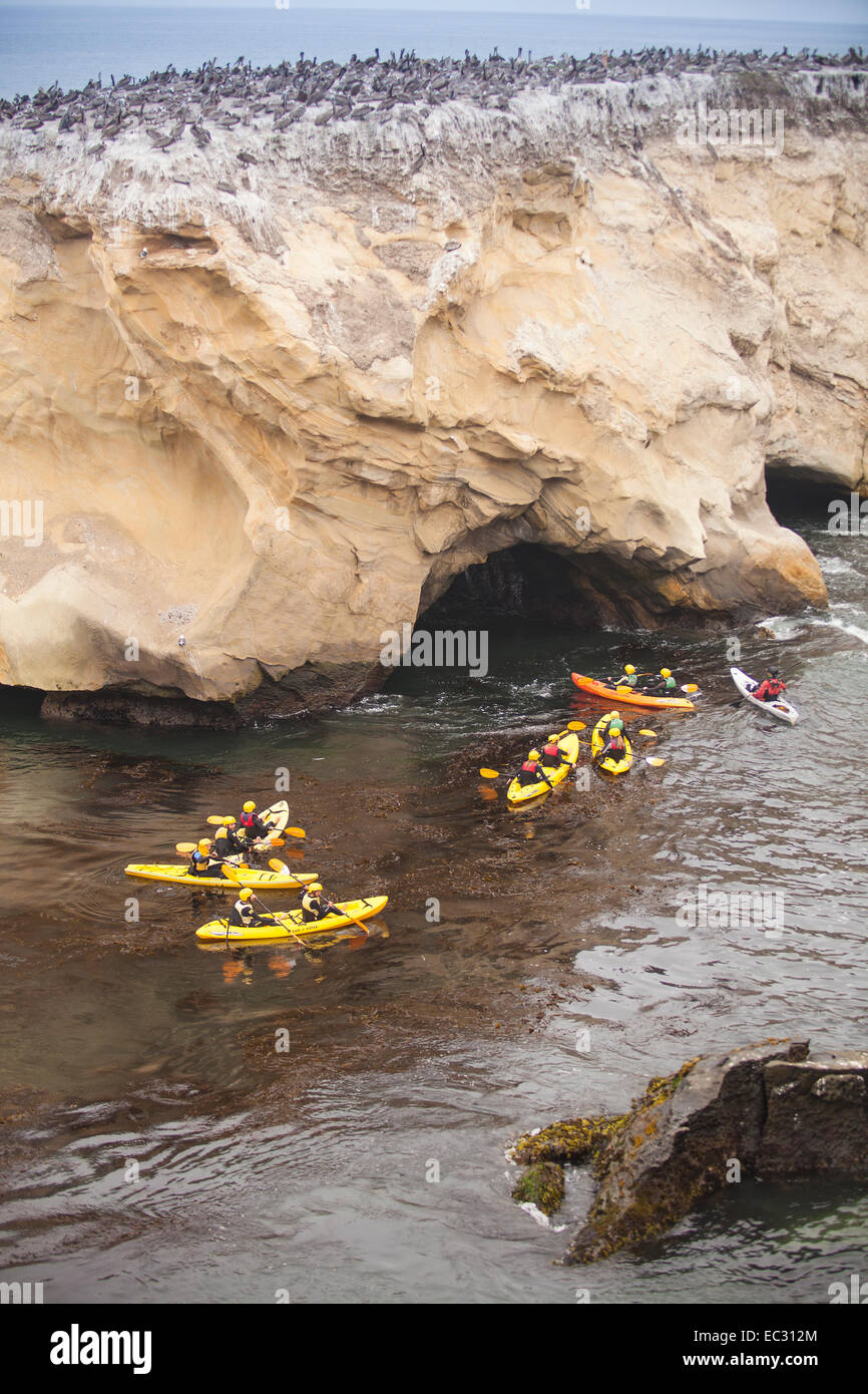 Kanuten paddeln in der Nähe von felsigen Klippen, Pismo Beach, Central Coast, California, Vereinigte Staaten von Amerika Stockfoto