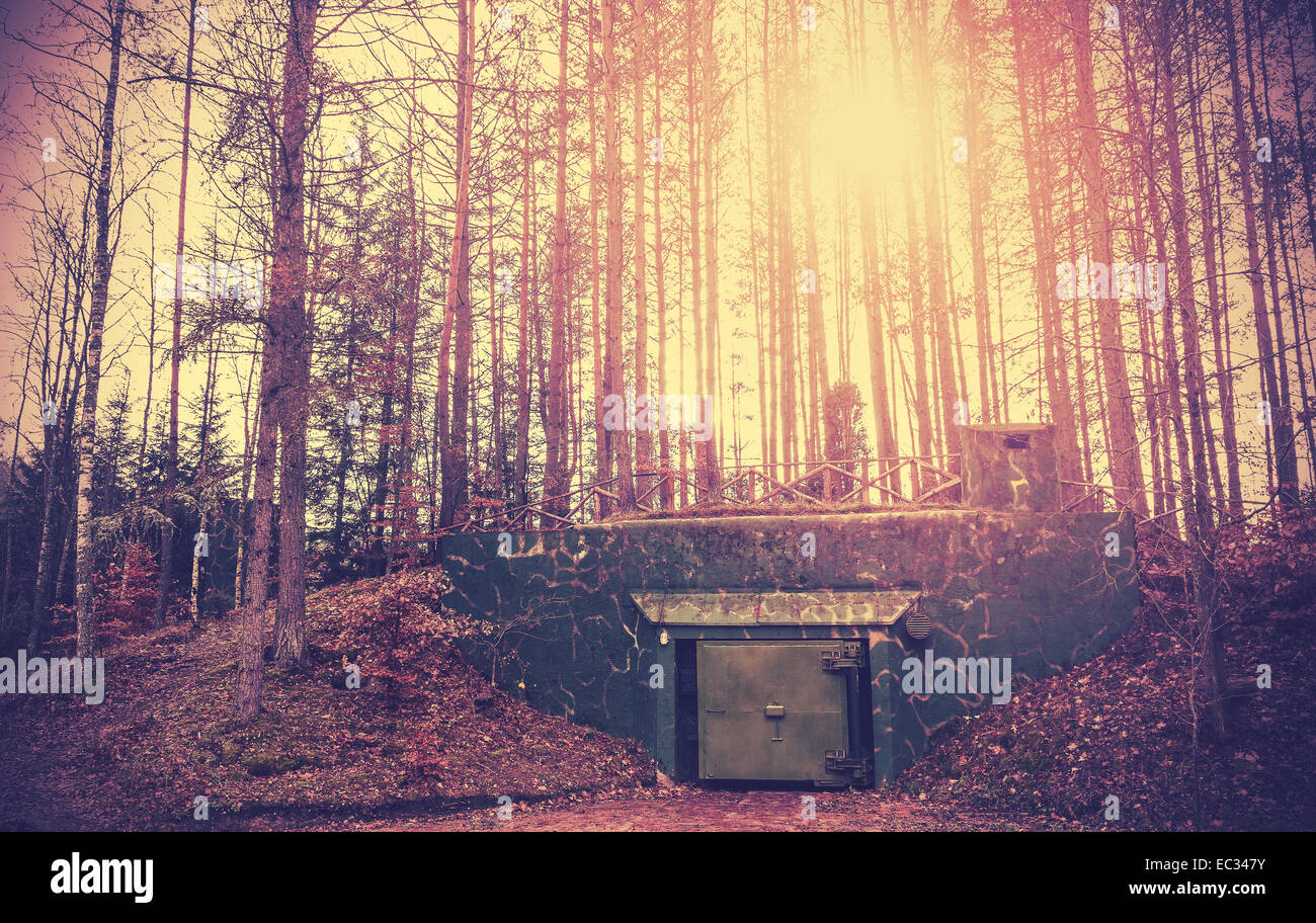 Beängstigend Bunker versteckt in einem Wald mit surrealen Farben. Stockfoto