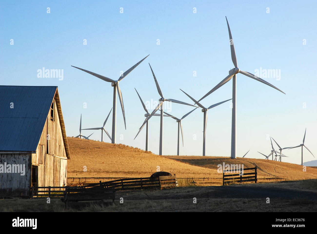 Windpark auf landwirtschaftlichen Flächen Stockfoto