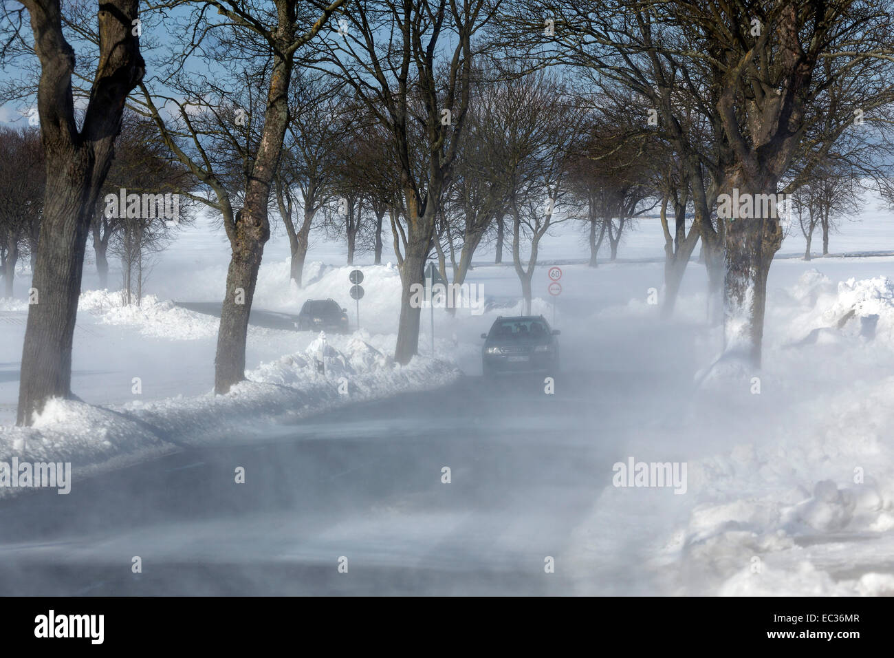 Autos im Schnee Flut, Kühlungsborn, Mecklenburg-Vorpommern, Deutschland Stockfoto