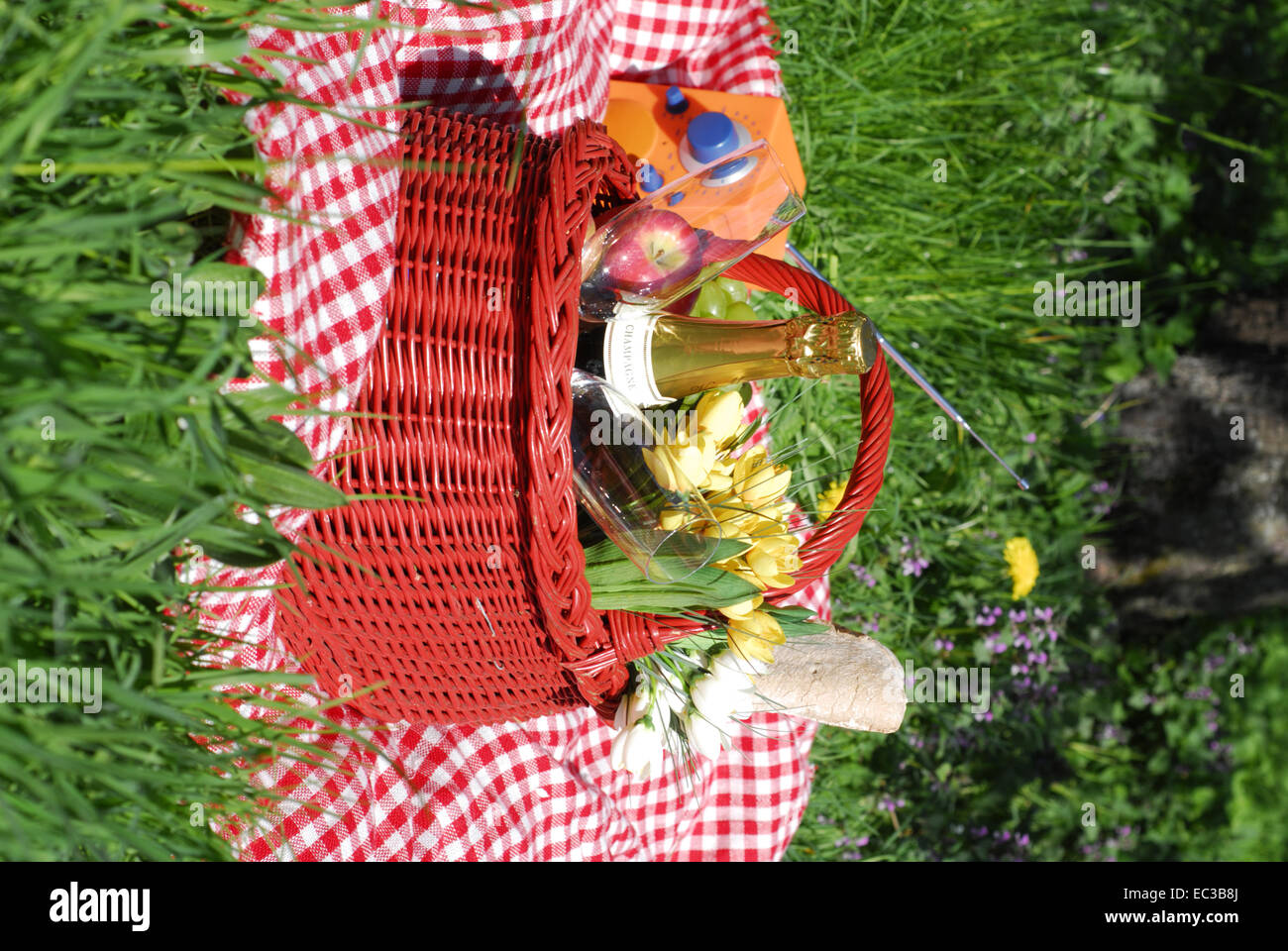 Picknick-Korb Stockfoto
