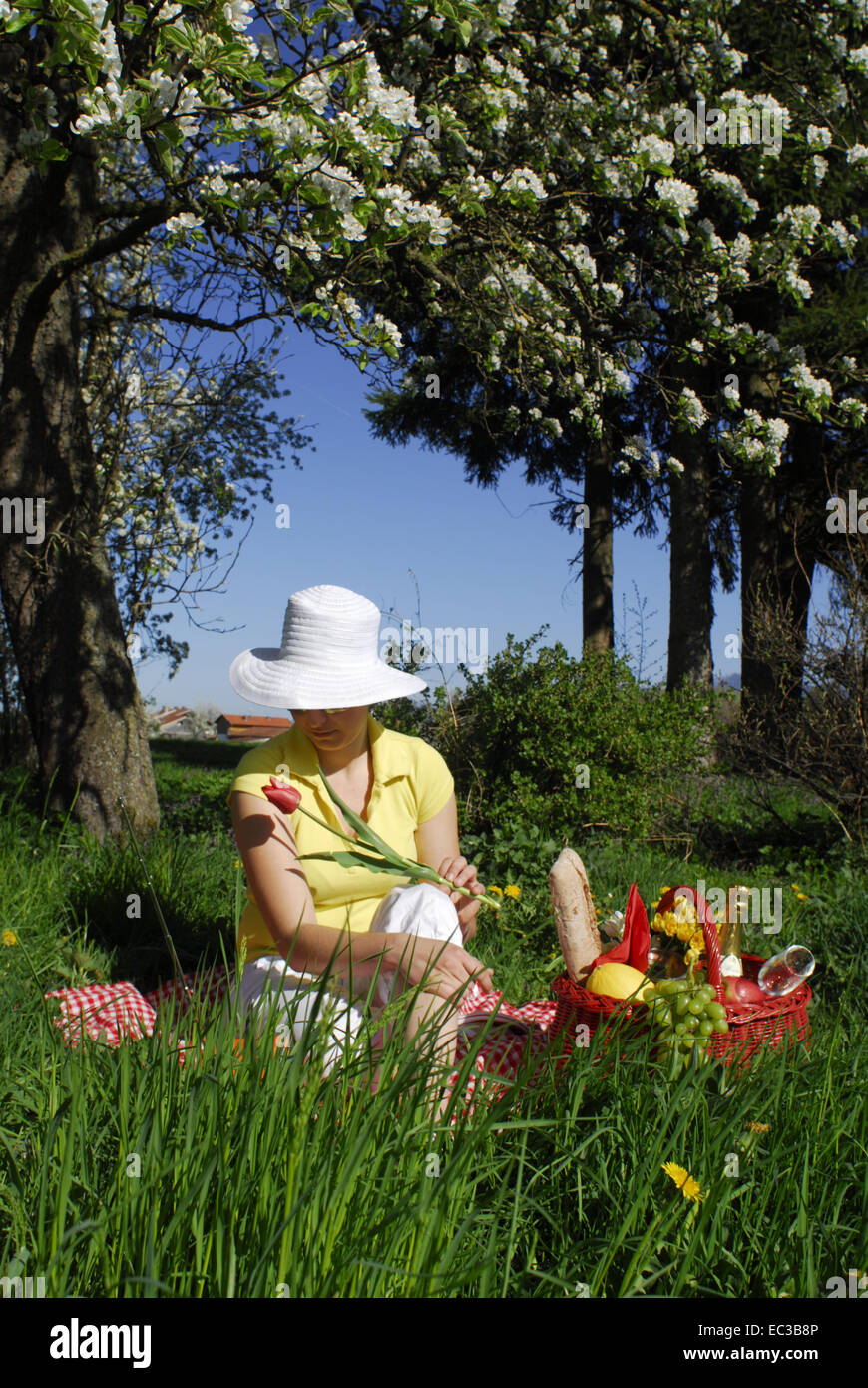 Frau mit Picknick-Korb, die rote Blume Stockfoto