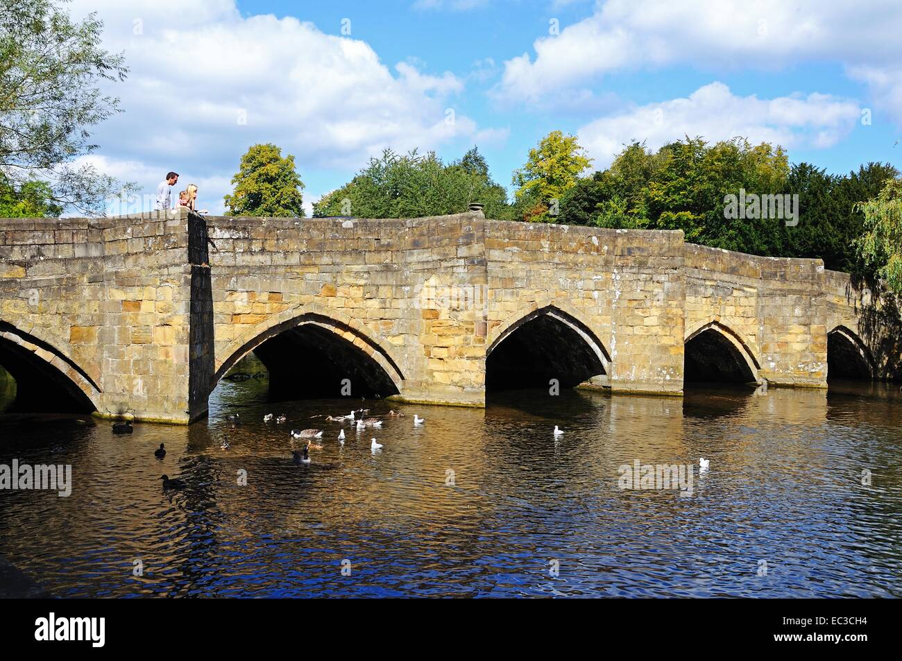Mittelalterliche Brücke über den Fluss Wye, Bakewell, Derbyshire, England, UK, Westeuropa. Stockfoto