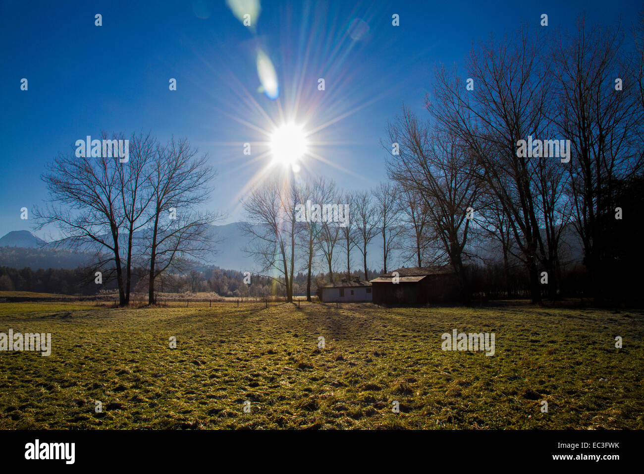 Sonne scheint durch Bäume Stockfoto