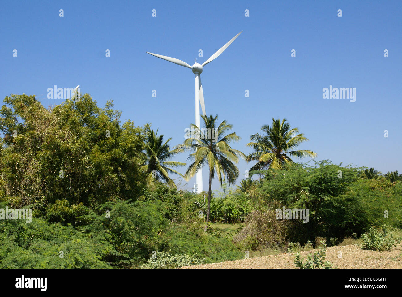 Wind-Motor in der Nähe von Kovalam, Indien Stockfoto