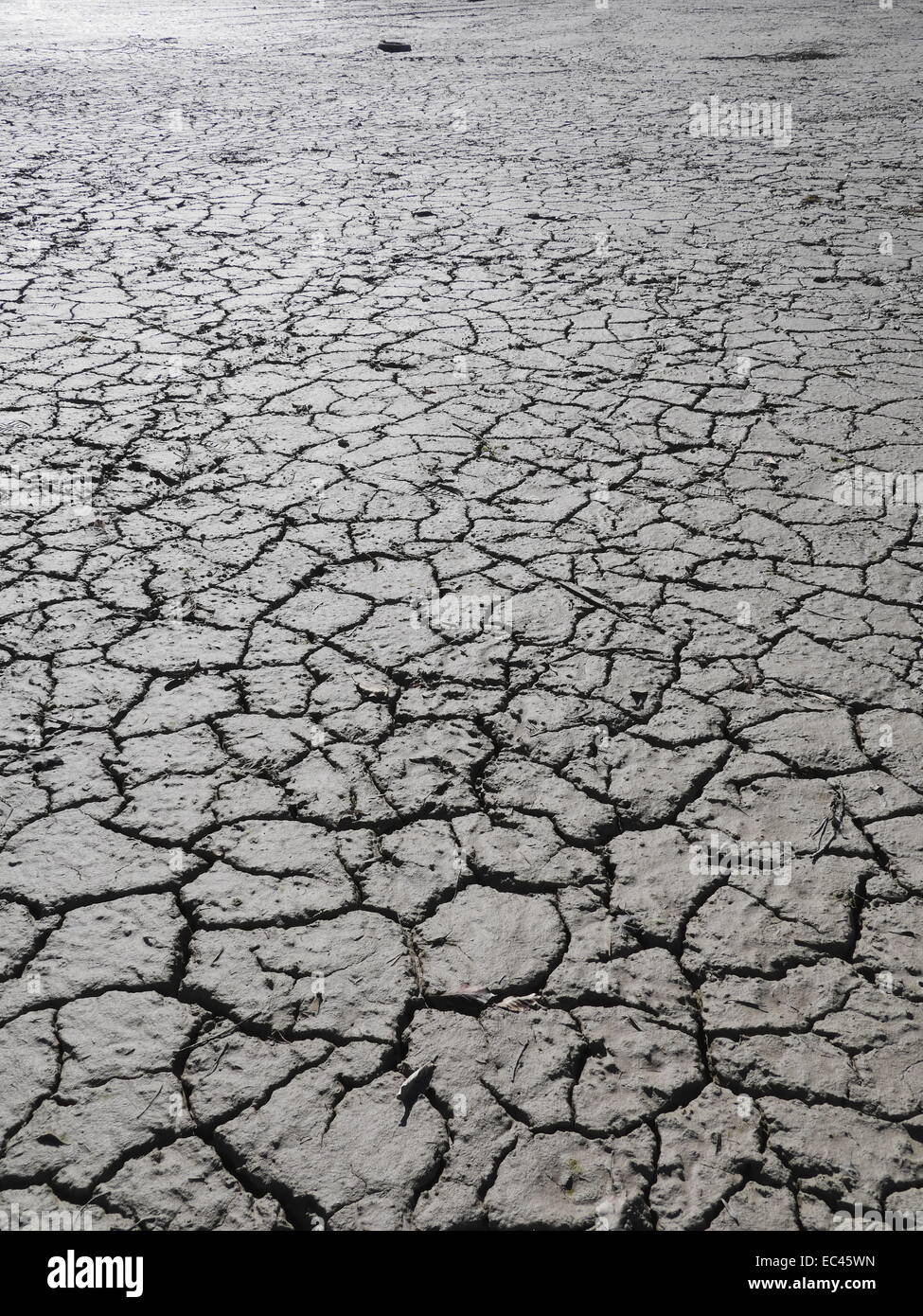 Große Risse im Boden bei Ton Wasserlöcher ausgetrocknet Trockenzeit Stockfoto