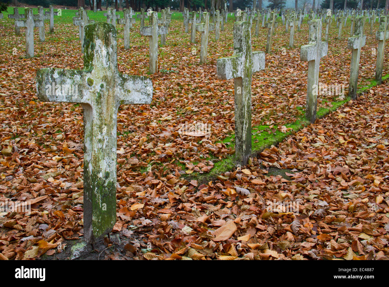 Alte, weiße Kreuze und Laub auf einem alten Friedhof Stockfoto