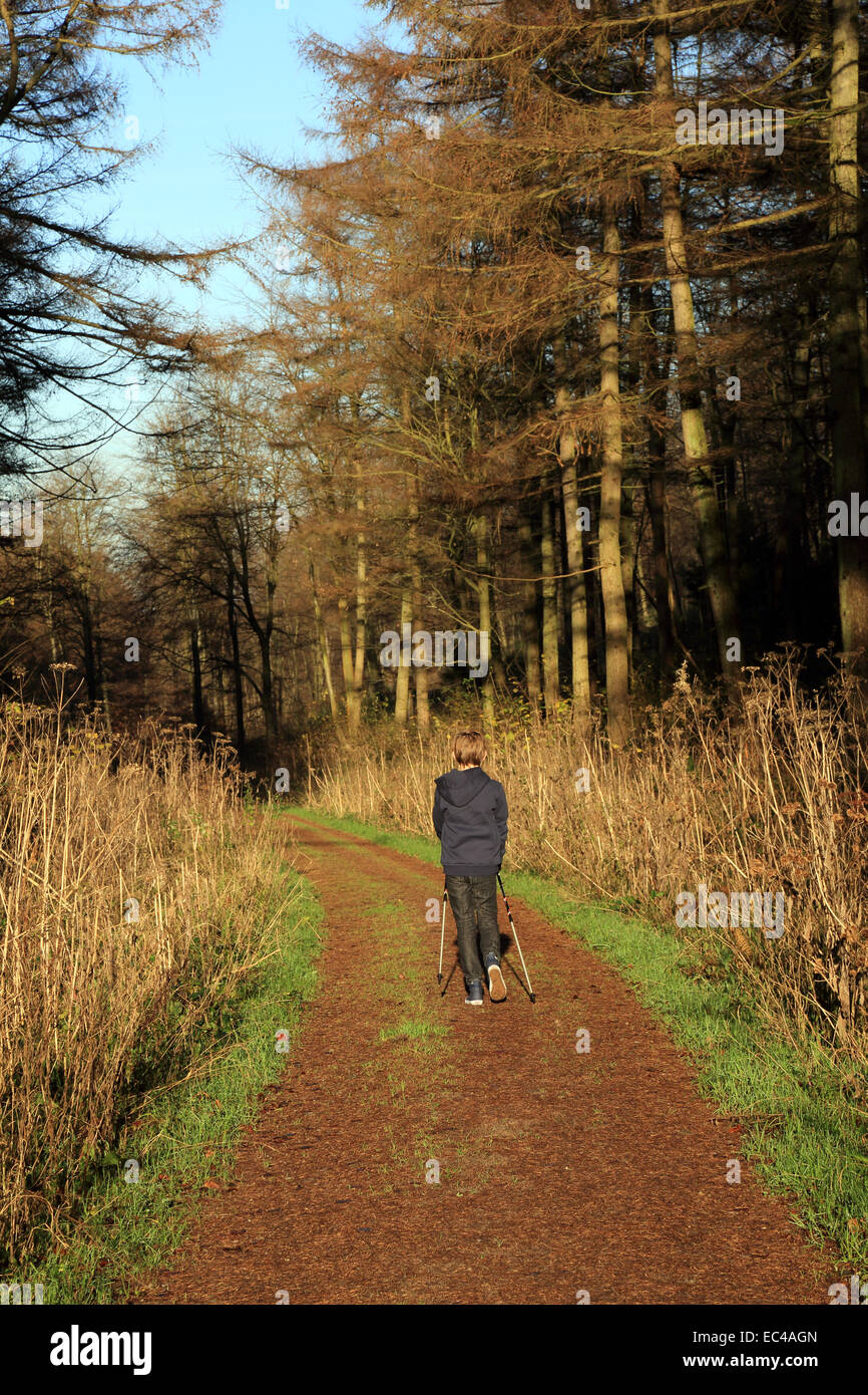 12 Jahre alter Junge Nordic Walking im denge Woods, pennypot Lane, crundale, Canterbury, Kent, England Großbritannien Stockfoto