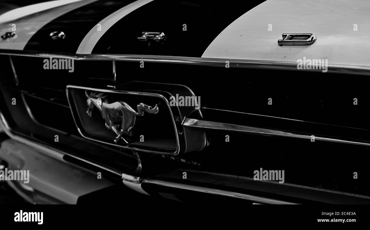 Mustang Stockfoto