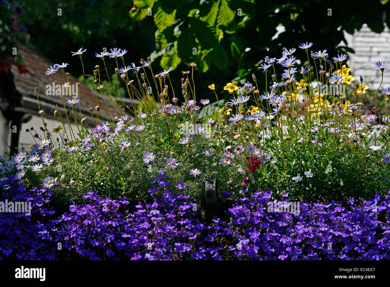 Blumendekoration in Polperro, Cornwall, Südwestengland, UK, Europa Stockfoto