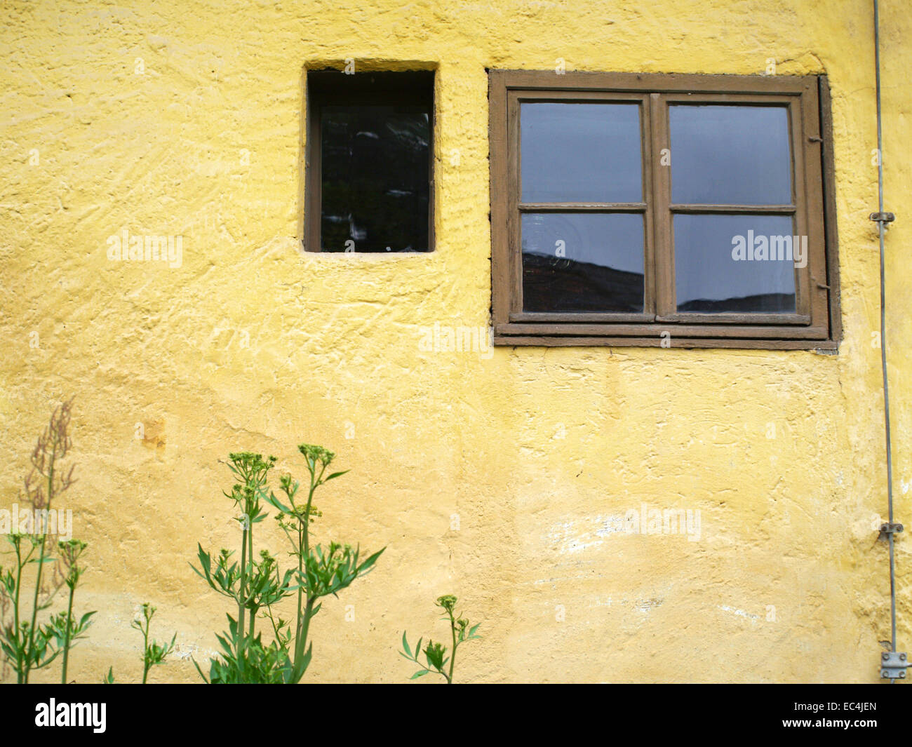 Fenster mit gelben Gesicht Stockfoto