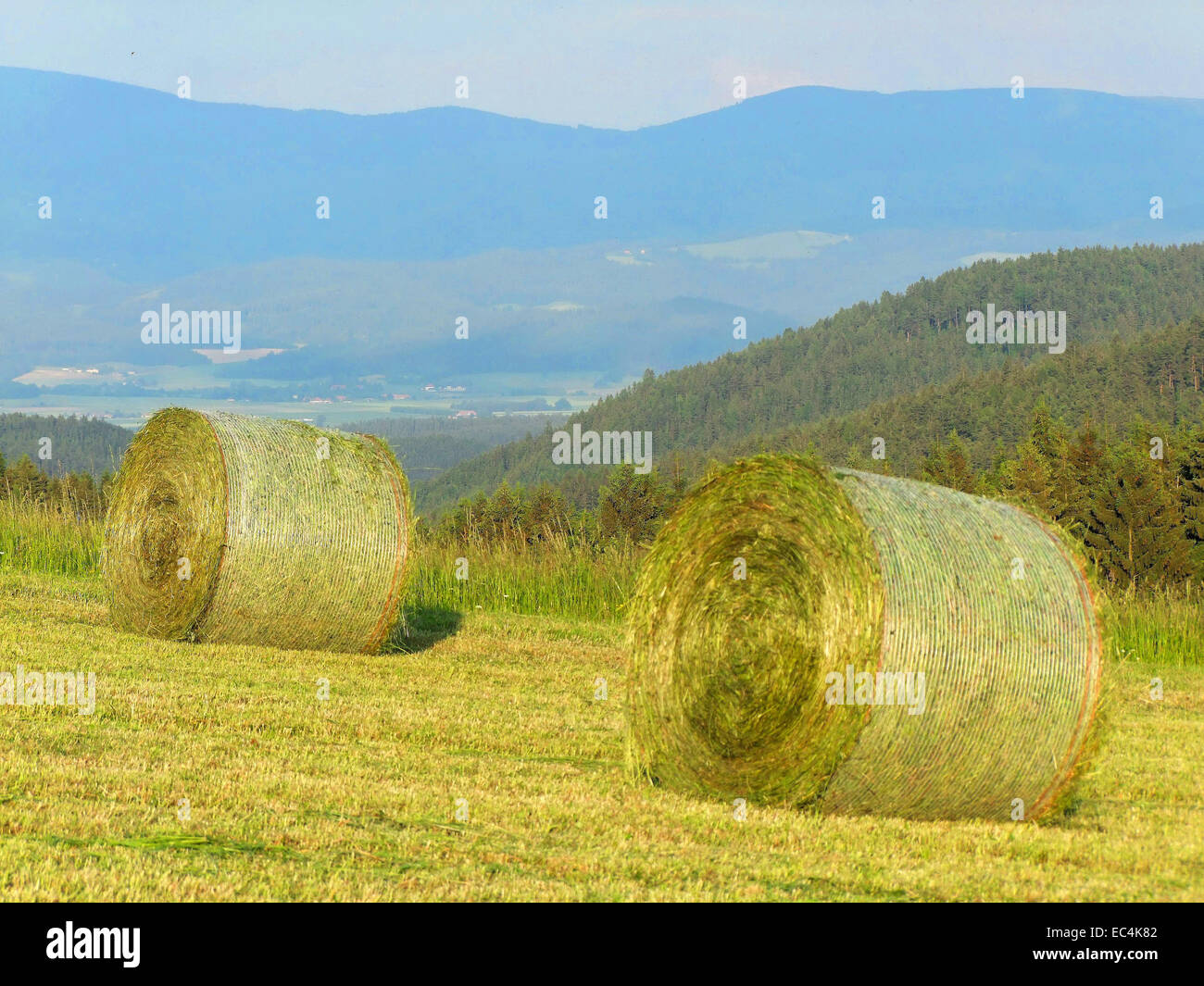 Panorama-Landschaft mit Silageballen in Kärnten Stockfoto