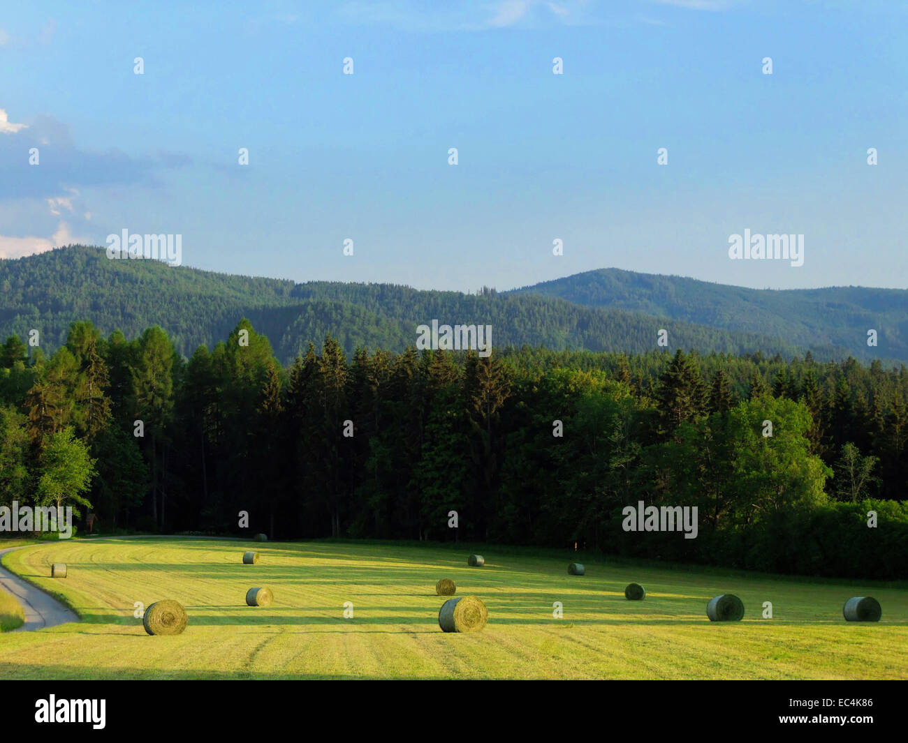 Landschaft in Kärnten Stockfoto