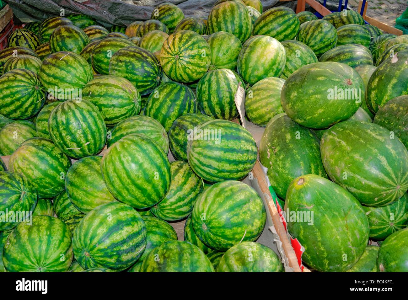 Wassermelone, Citrullus Lanatus, Markt Stockfoto