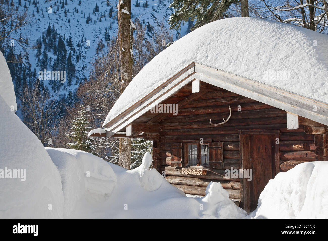 Idyllischen Berghütte im winter Stockfoto