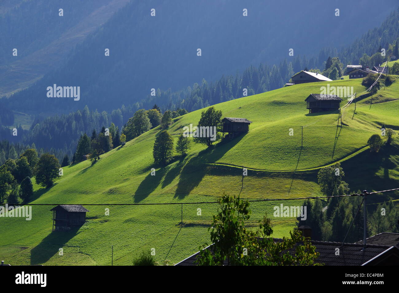 Wiese im Lesachtal, Carinthia Stockfoto