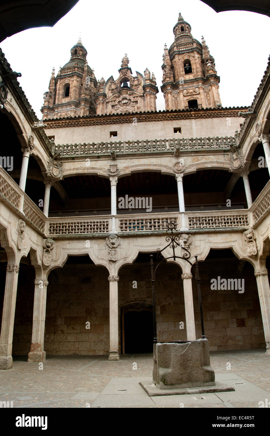 Casa de Las Conchas Salamanca (öffentliche Bibliothek) Stadt Salamanca (Castilla y León) Spanien Spanisch (Haus der Muscheln) Stockfoto