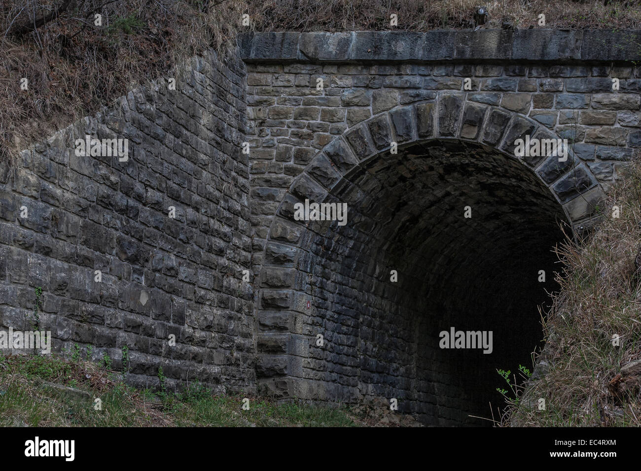 Tunnel von der stillgelegten Bahnstrecken Parenzana, die jetzt als Radweg genutzt wird Stockfoto