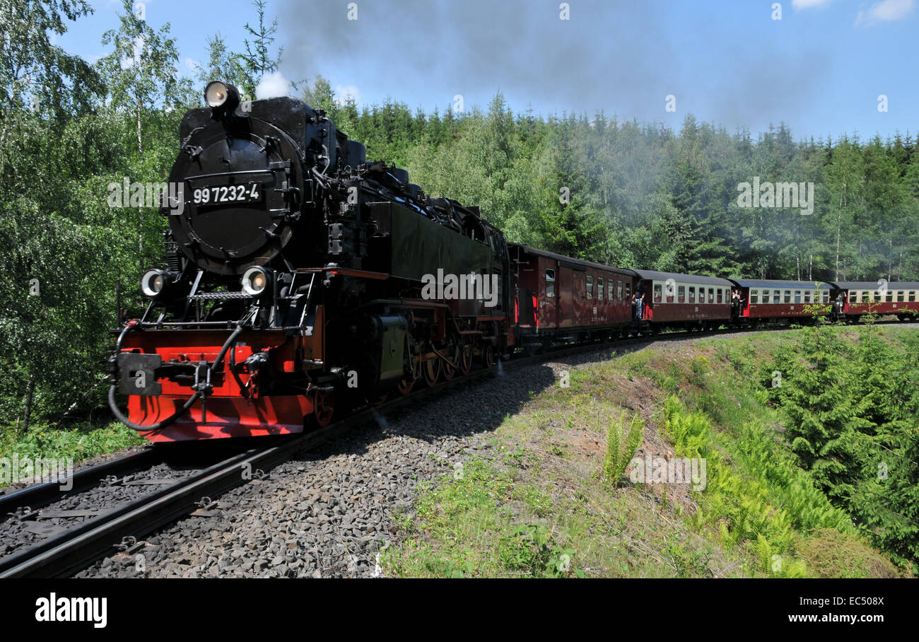 Schmalspurbahn Stockfoto