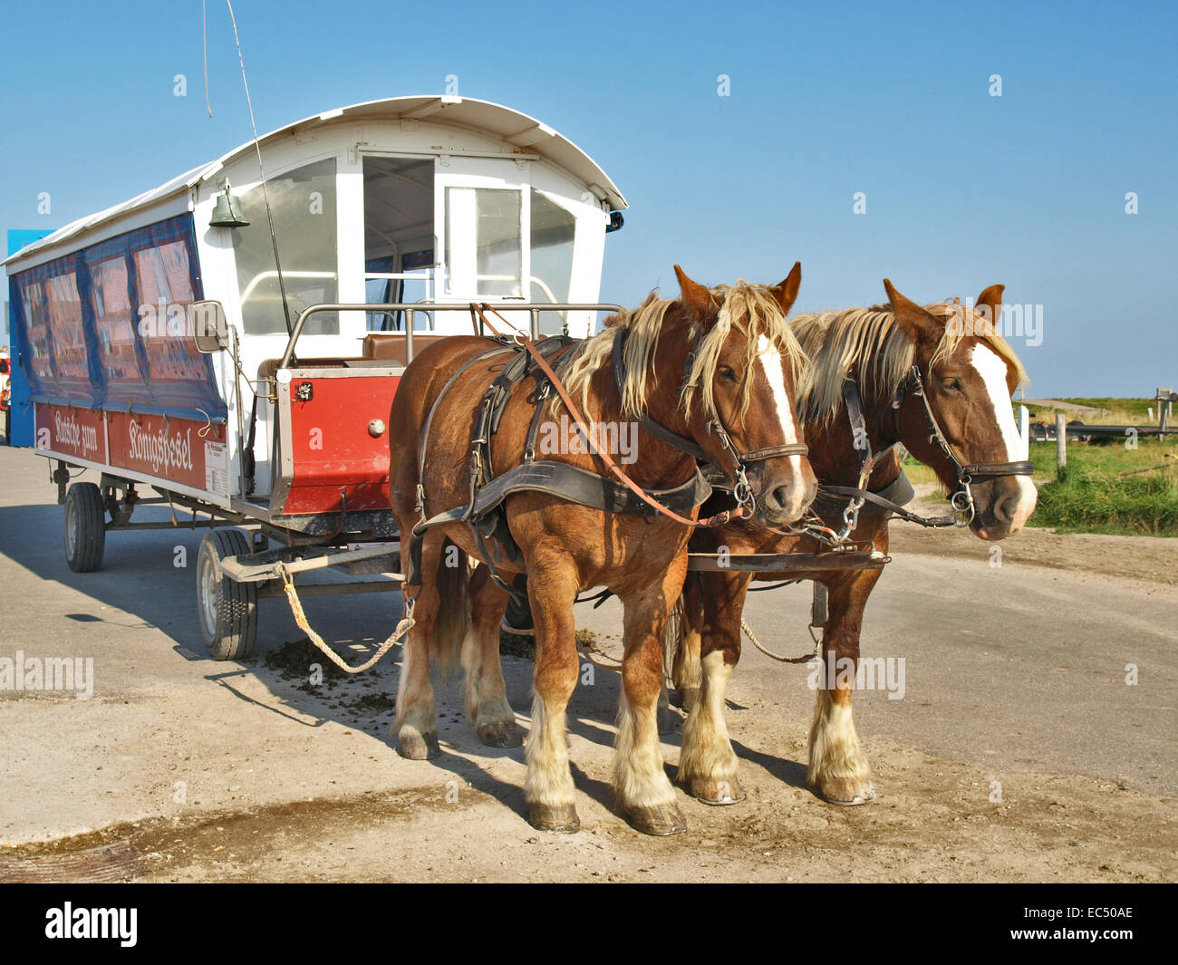 Pferdekutsche Bus auf Hooge, Schleswig Holstein, Deutschland Stockfoto