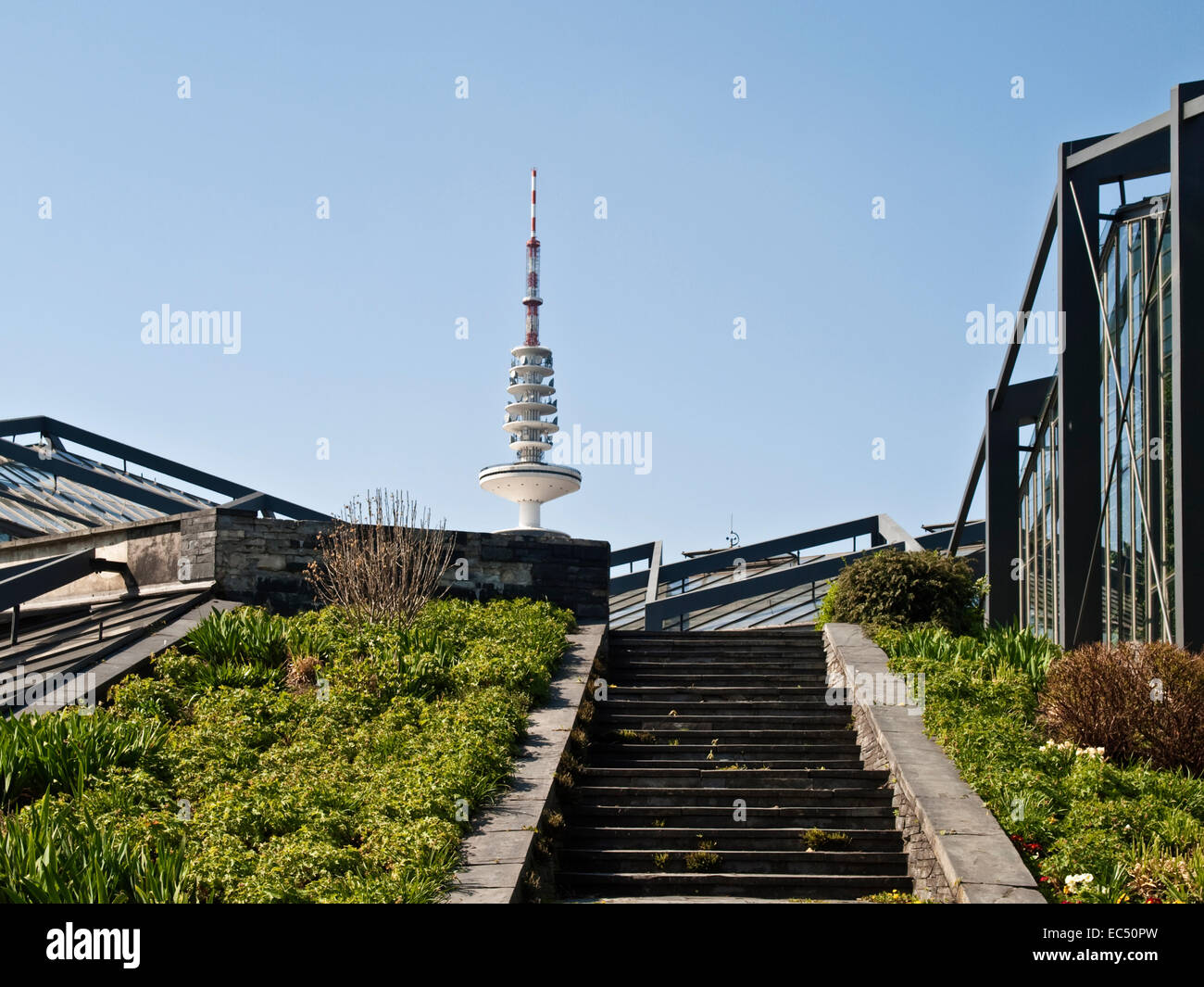 Tropenhaus in Planten un Blomen, Hamburg, Deutschland Stockfotografie
