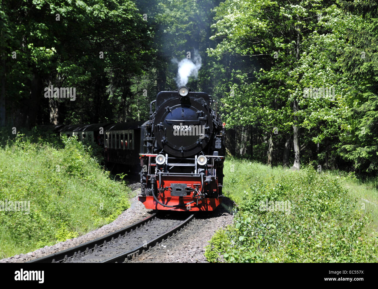 Harzer Schmalspurbahn Stockfoto