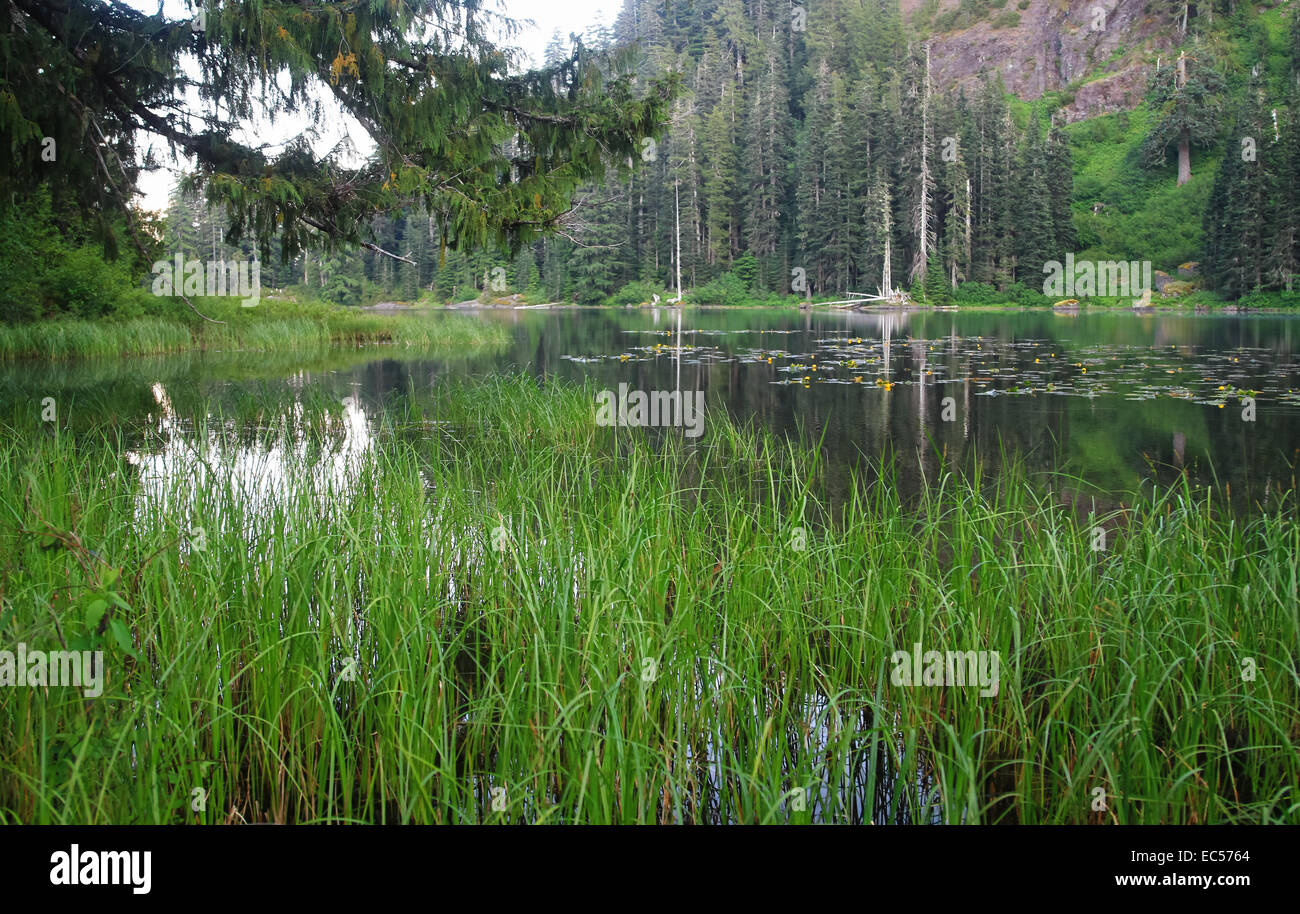 Robuste Backcountry-Landschaft im Wäschetrockner Lake, Oregon, USA Stockfoto