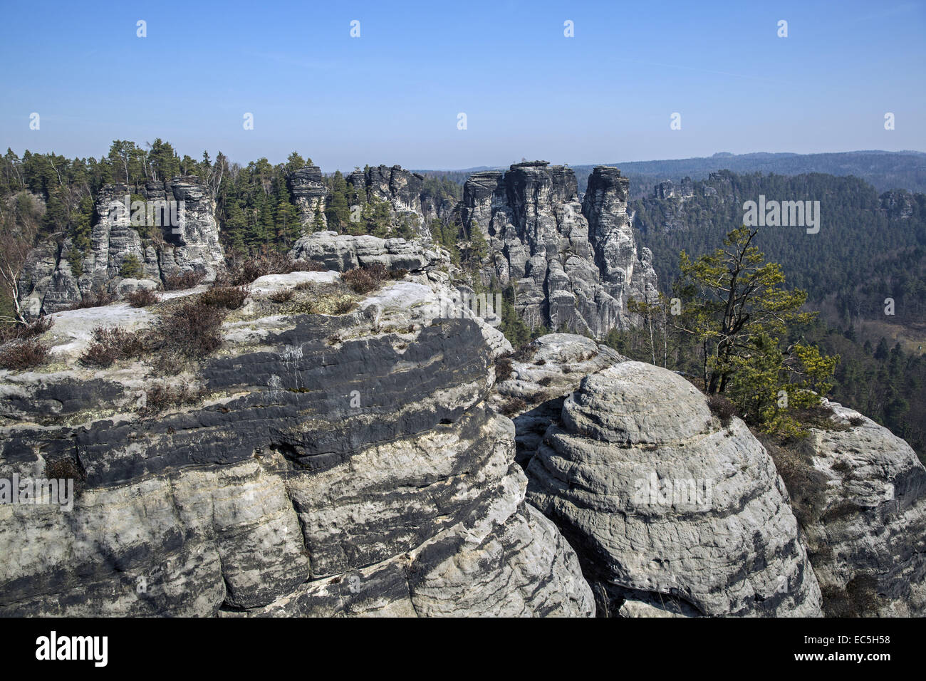 Sächsische Schweiz, Elbsandsteingebirge, Sachsen, Deutschland Stockfoto