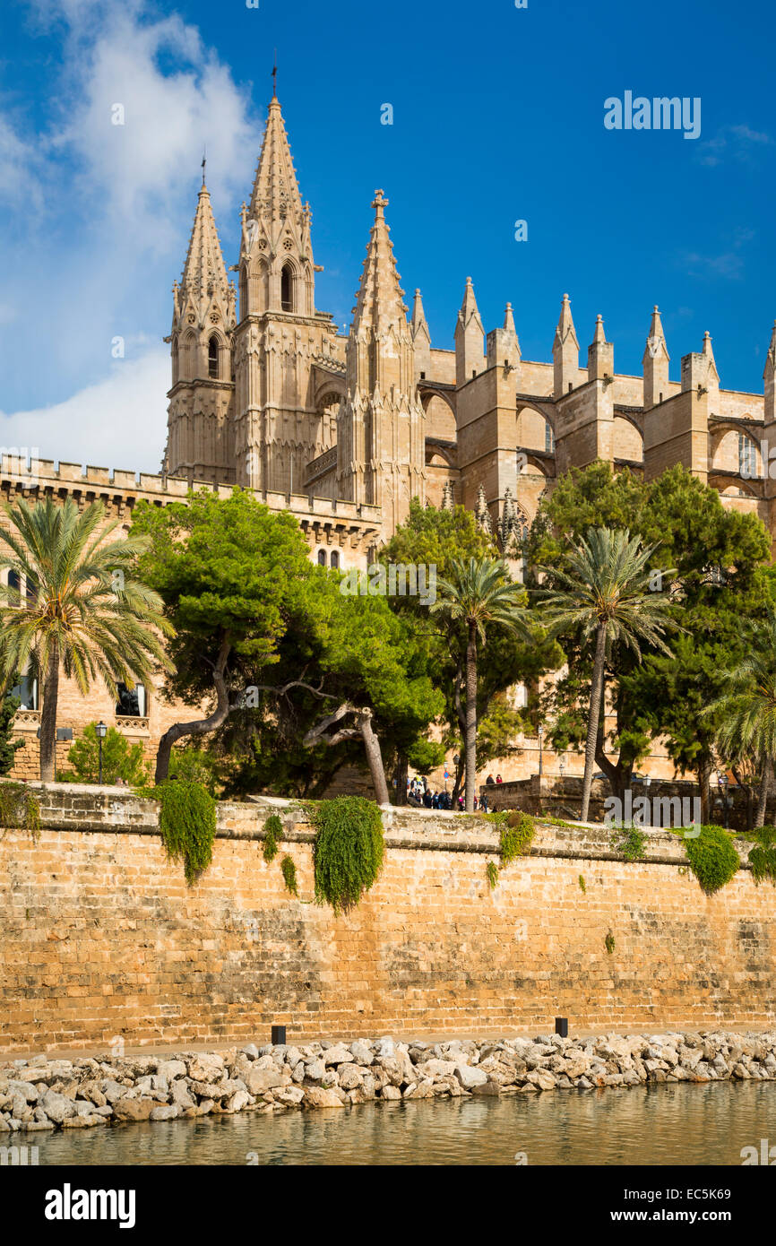 Kathedrale von Palma De Mallorca, Spanien Stockfoto