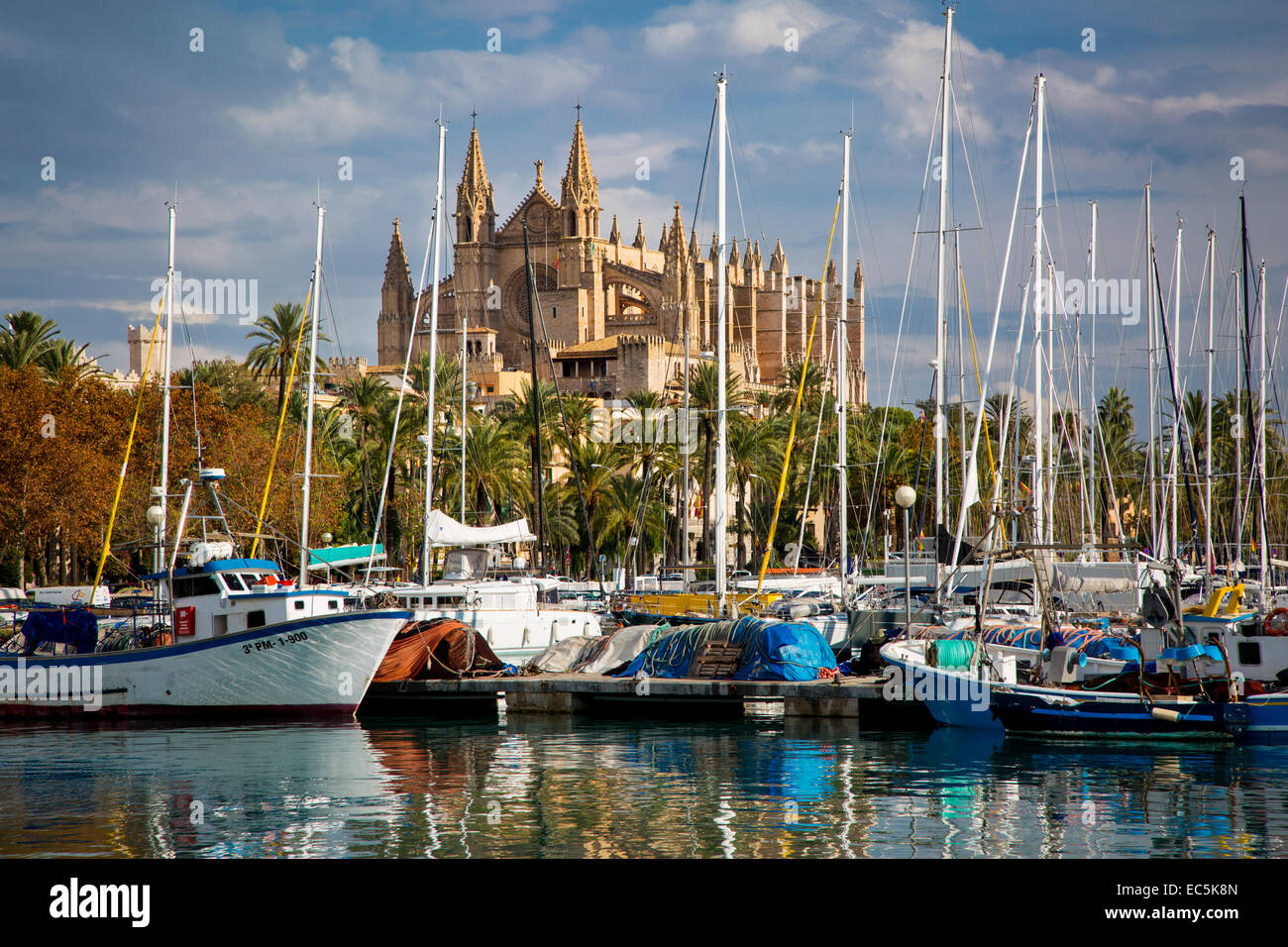 Boote im Hafen unterhalb der Kathedrale von Palma De Mallorca, Spanien Stockfoto