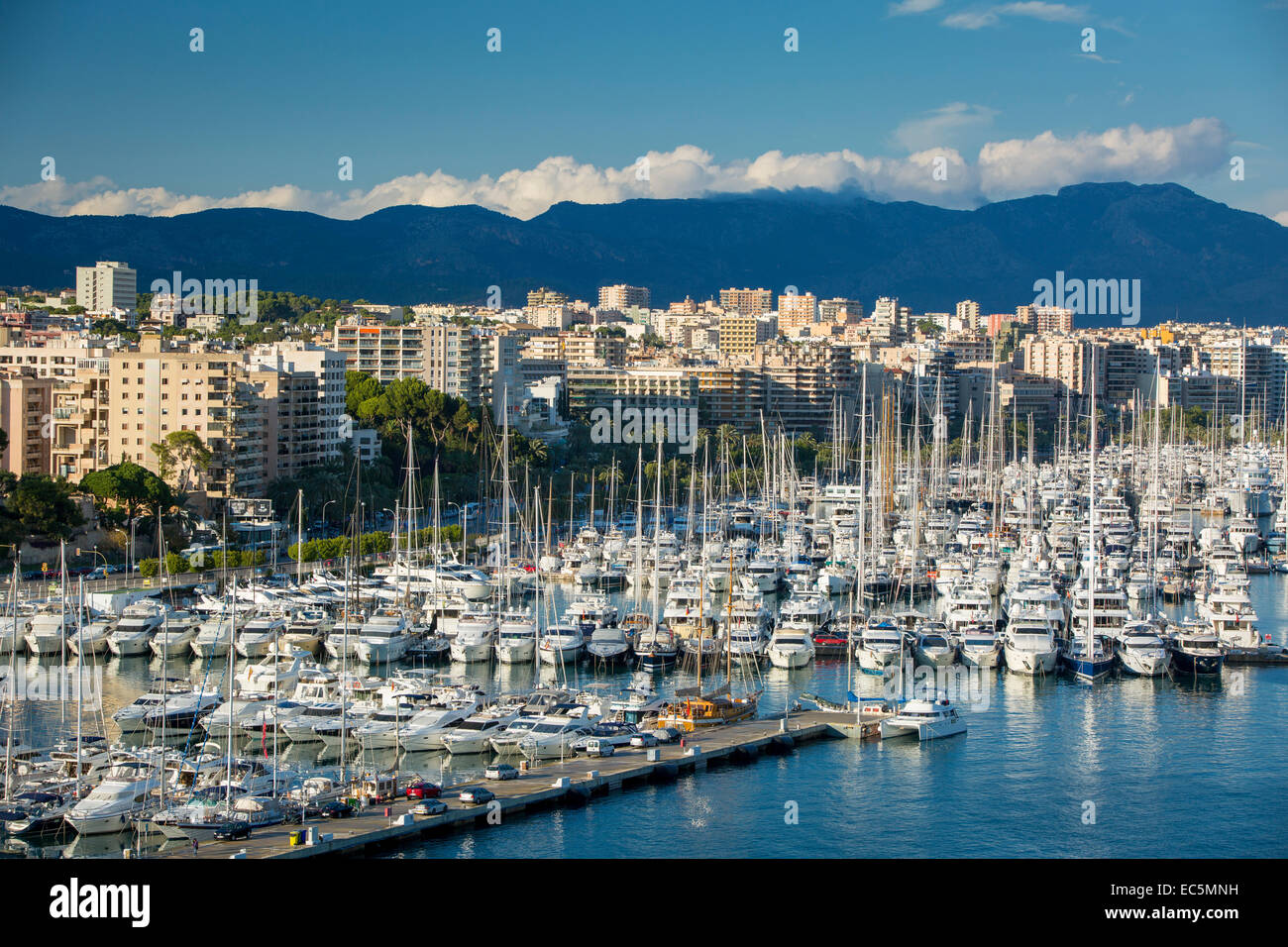 Boote drängen sich die Marina in Palma De Mallorca, Mallorca, Spanien Stockfoto