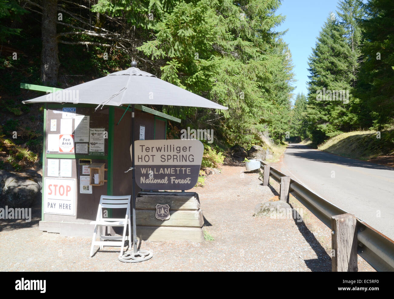 Terwilliger Thermalquellen, Willamette National Forest, Oregon Stockfoto