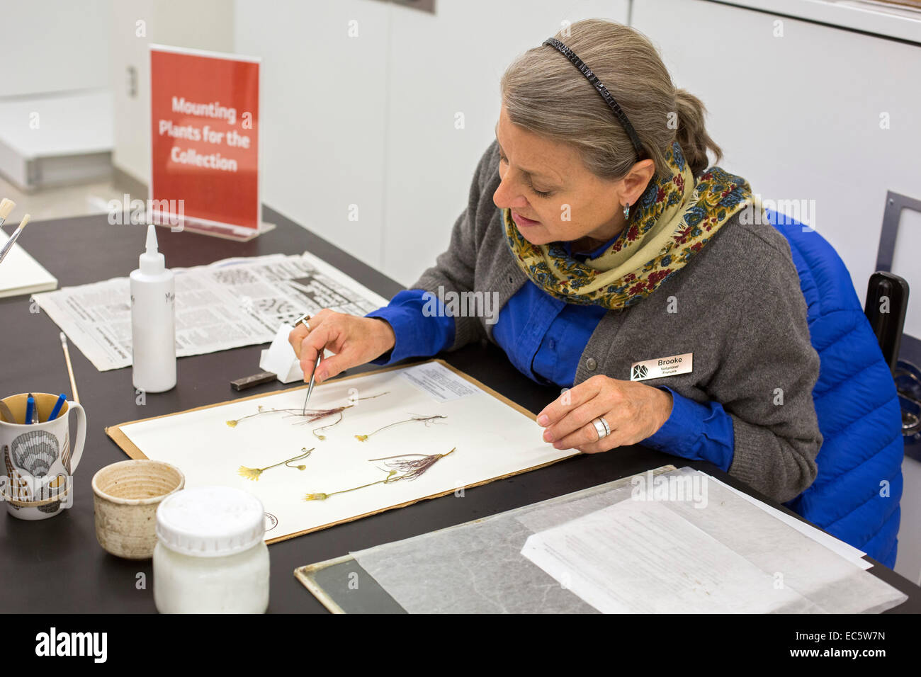 Salt Lake City, Utah - Natural History Museum of Utah. Stockfoto