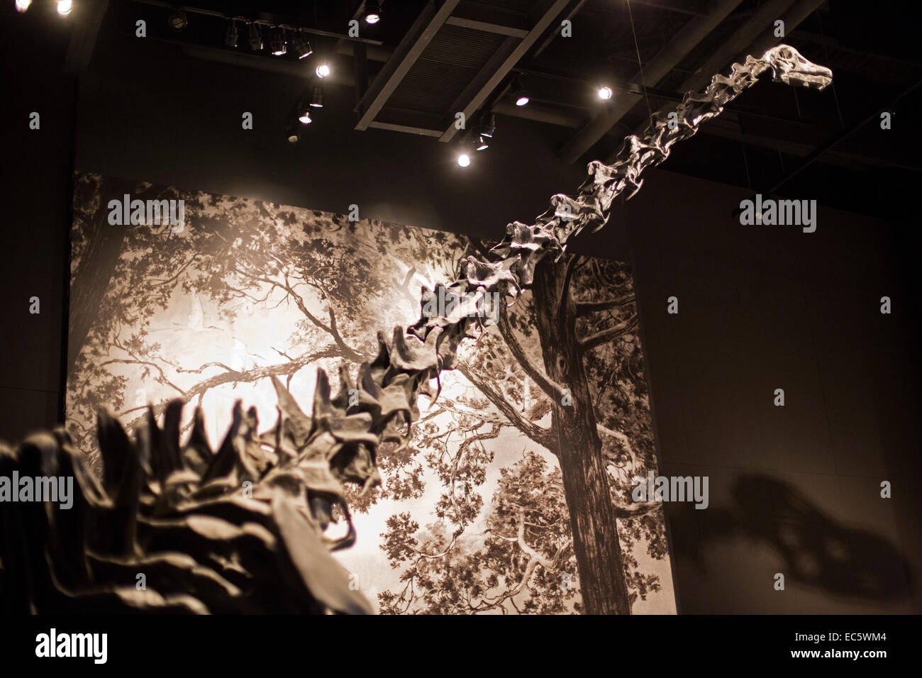 Salt Lake City, Utah - The Natural History Museum of Utah am Rio Tinto Center auf dem Campus der University of Utah. Stockfoto